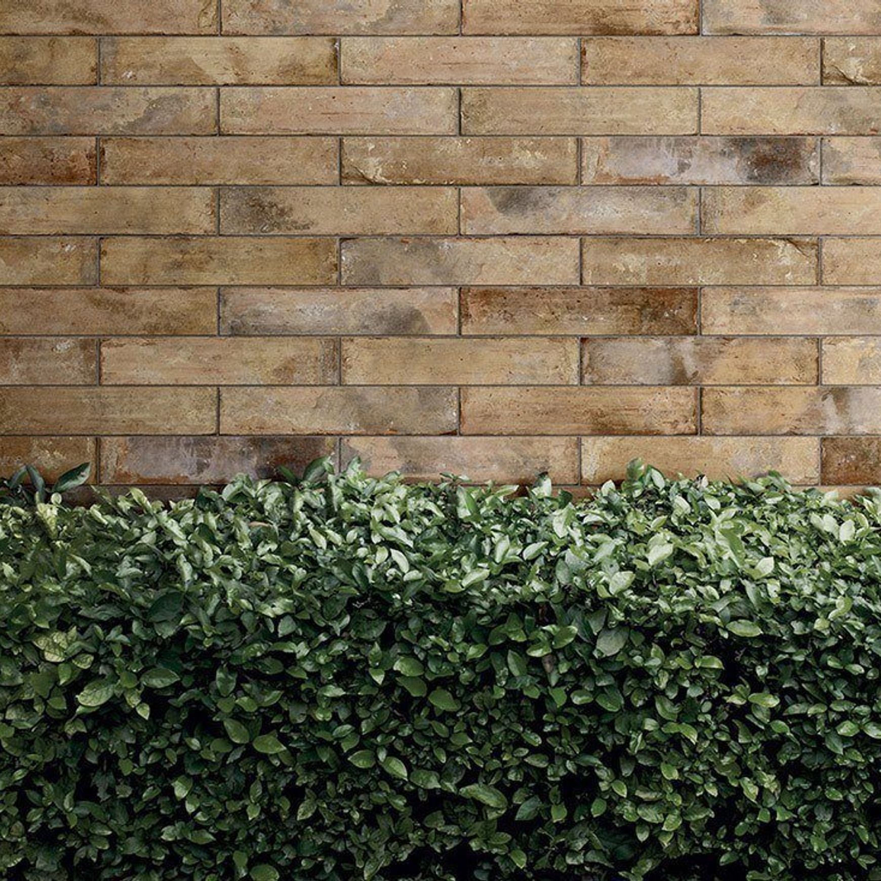 Pave Brick by Sichenia - Tiles