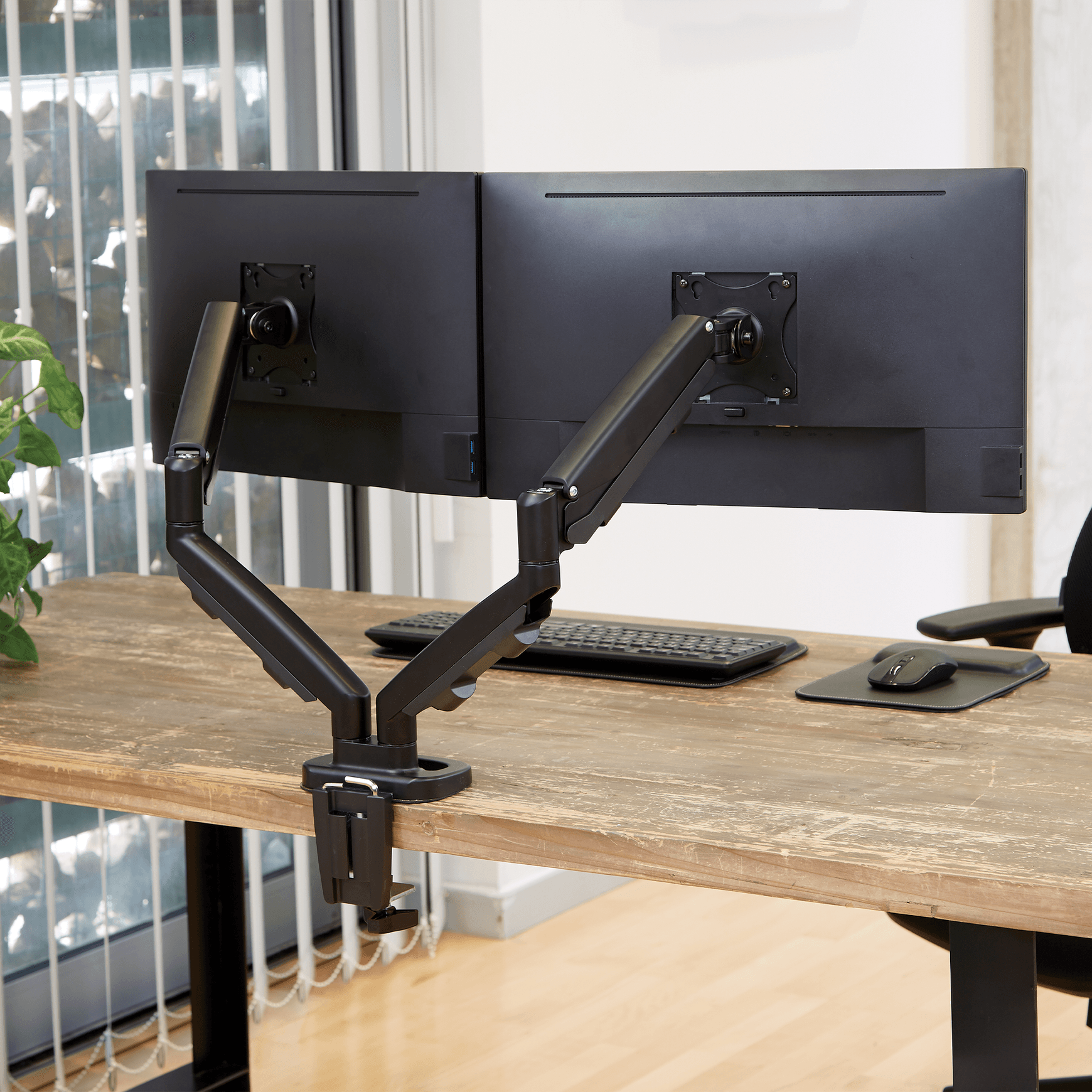 Eppa™ Dual Monitor Arm