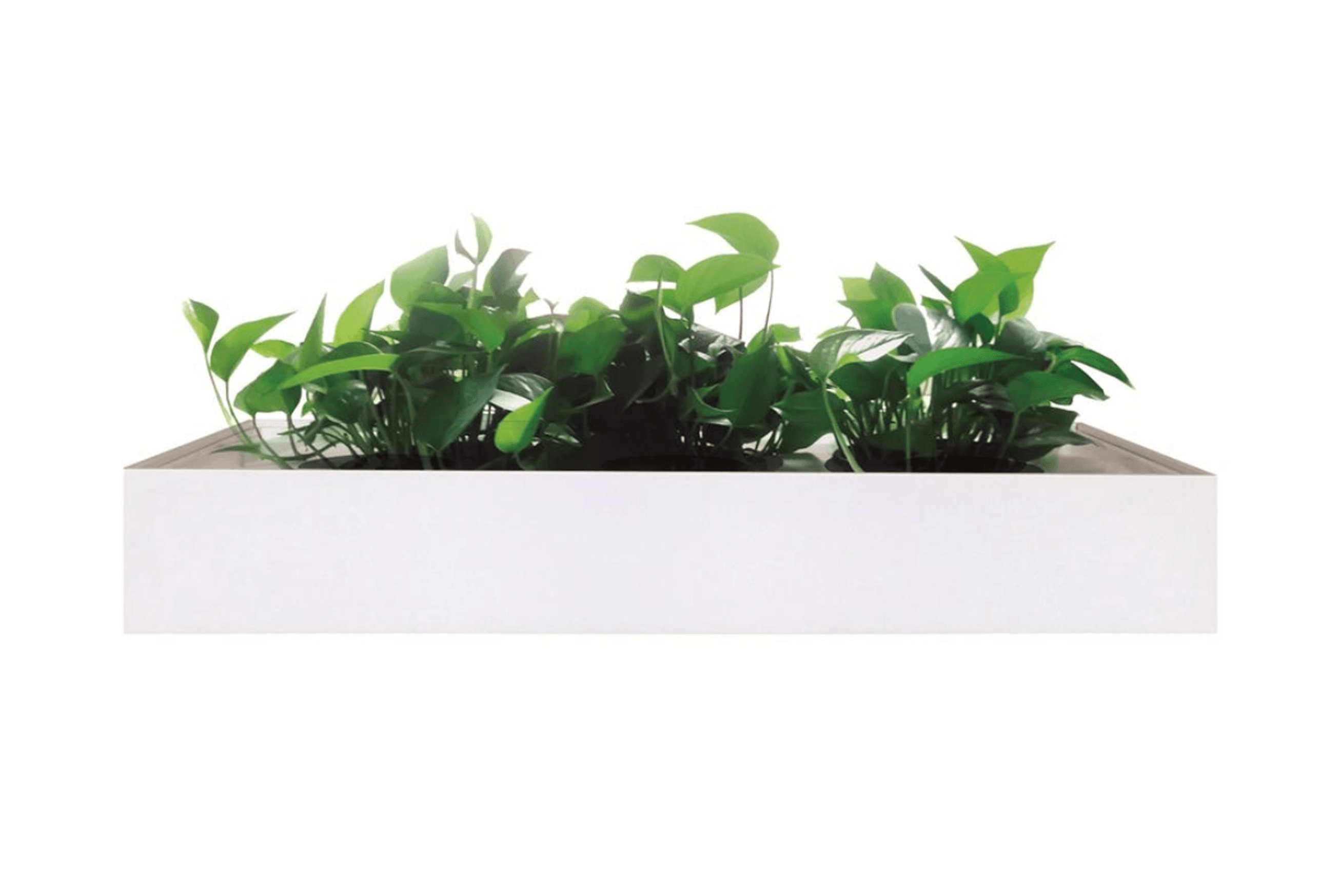 Lane Planter Box
