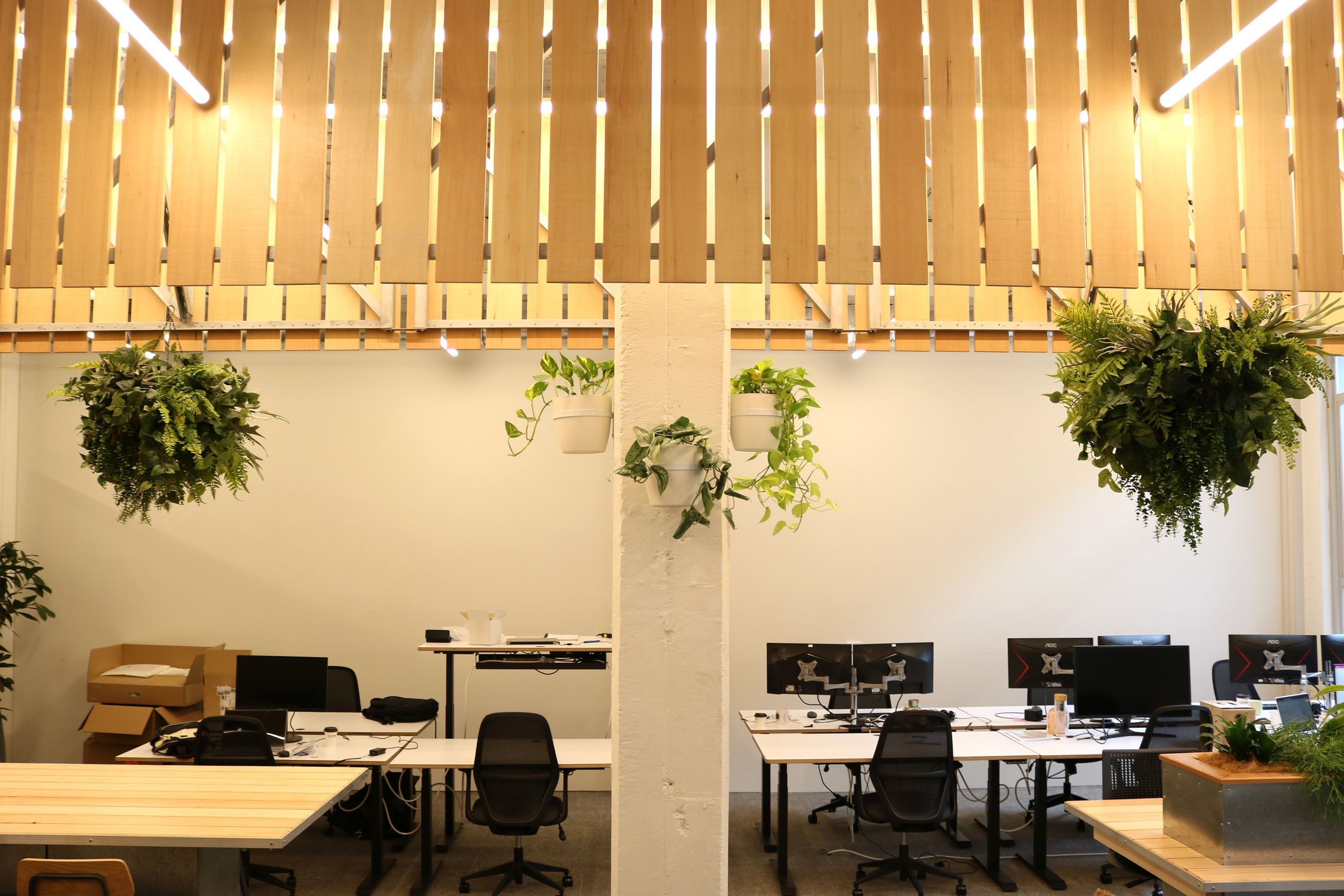 Plant Brackets | Hire Plants
