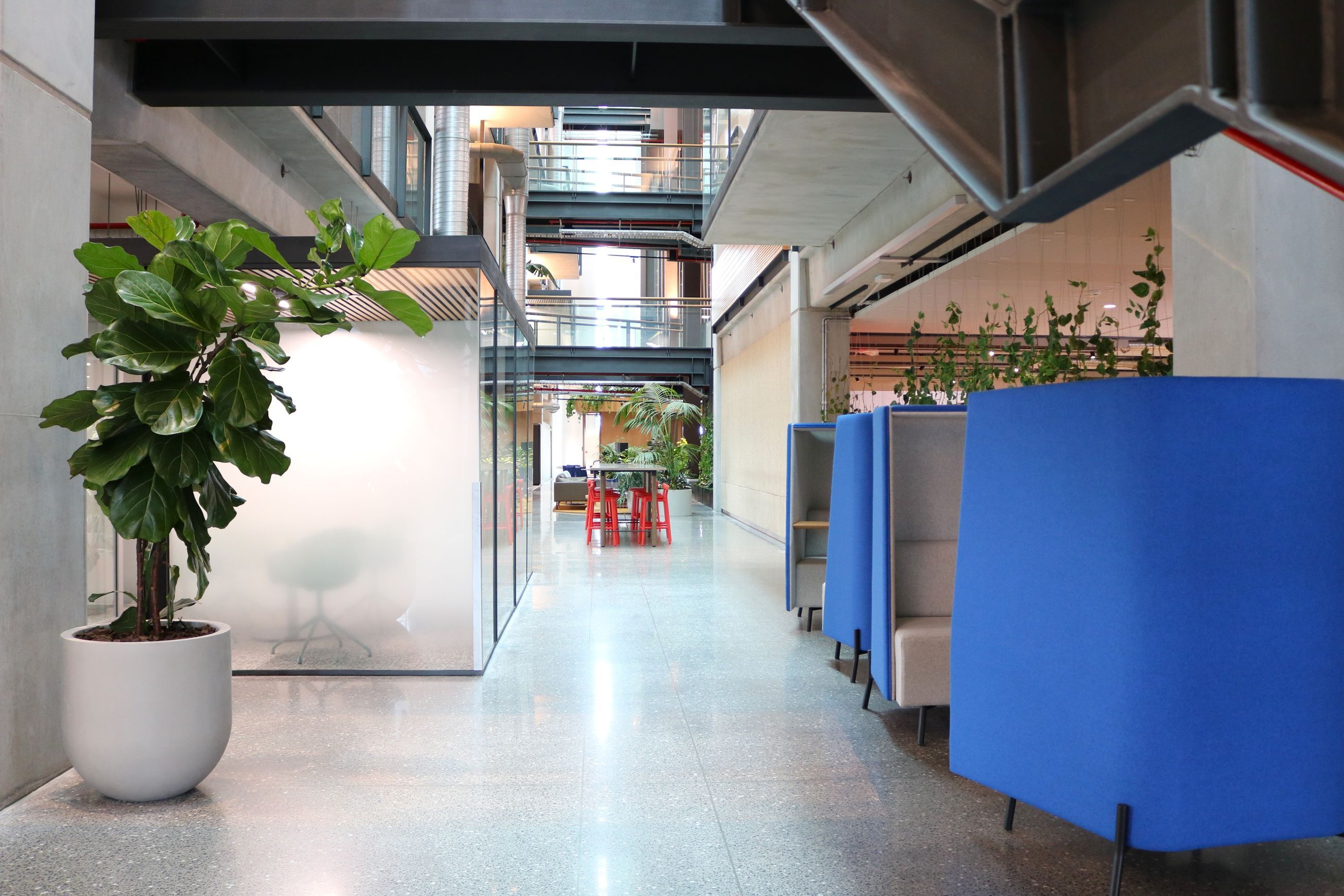 Indoor Plant Hire | Hire Plants