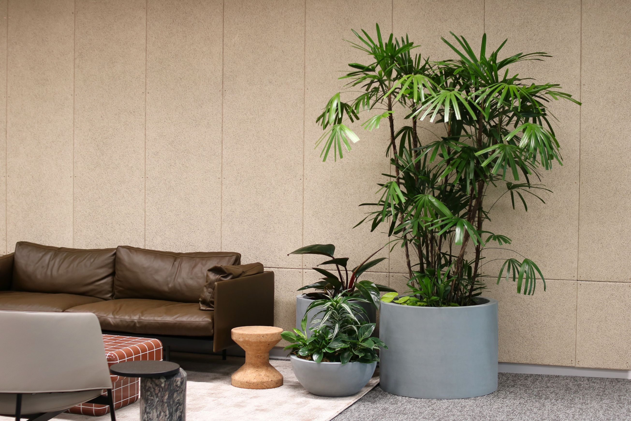 Indoor Plant Hire | Hire Plants