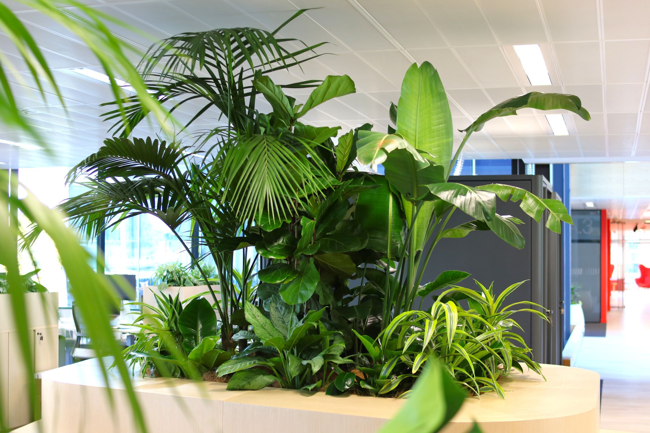In-Built Gardens | Hire Plants