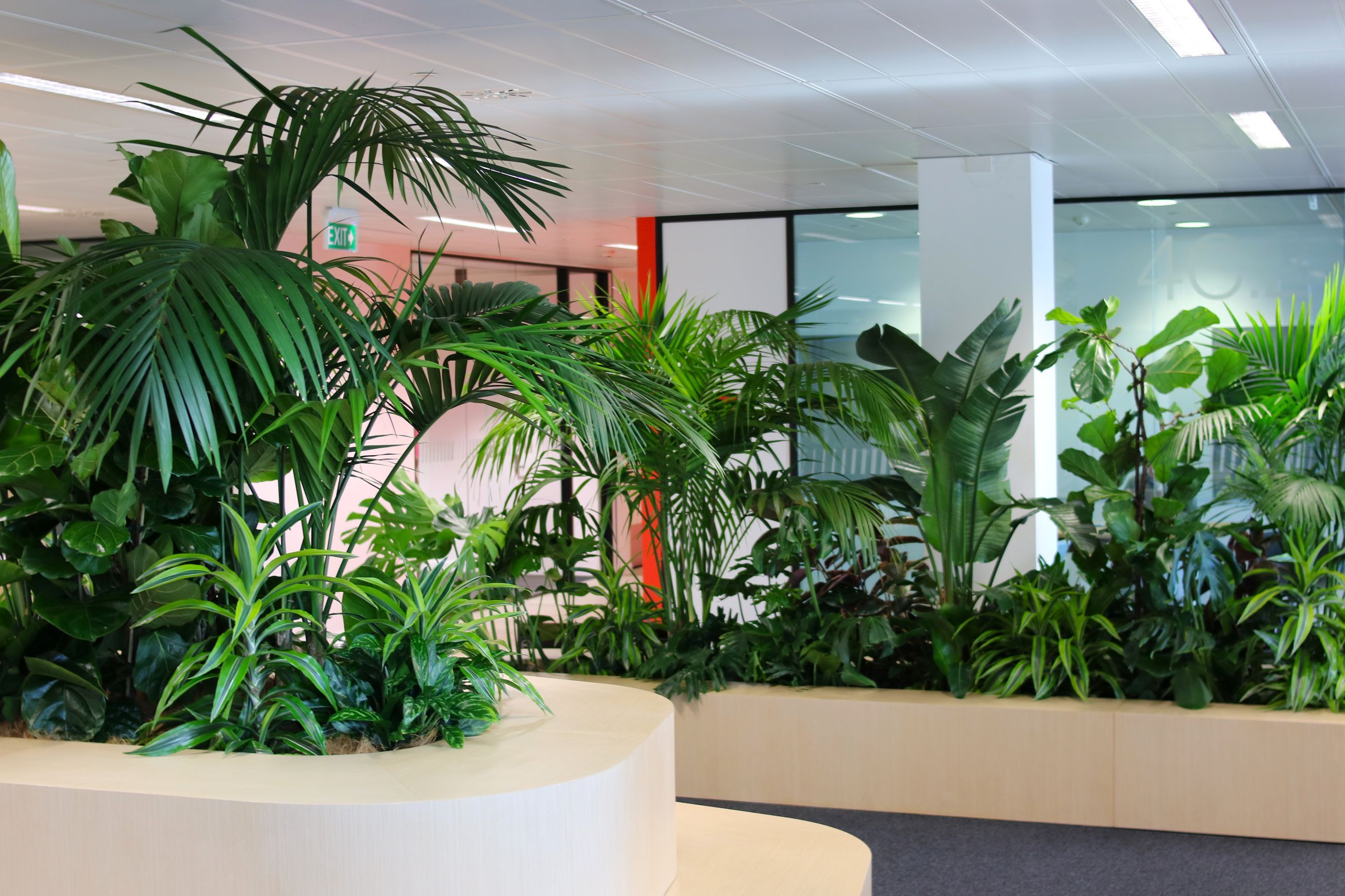 In-Built Gardens | Hire Plants