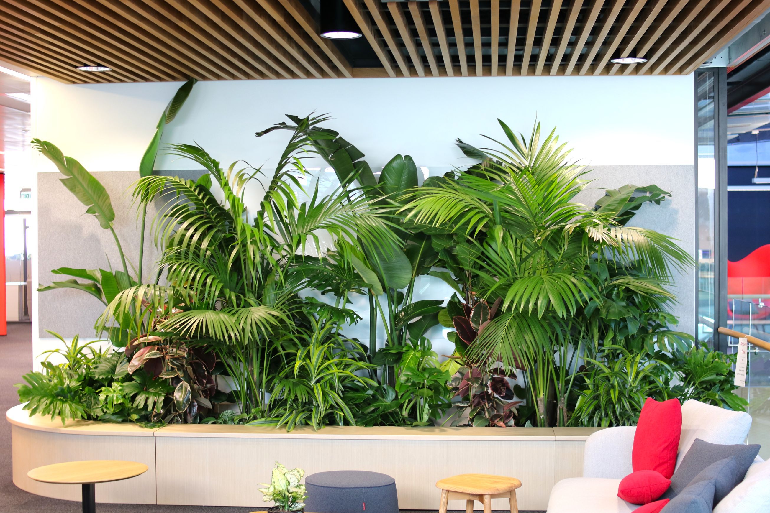 In-Built Gardens | Hire Plants