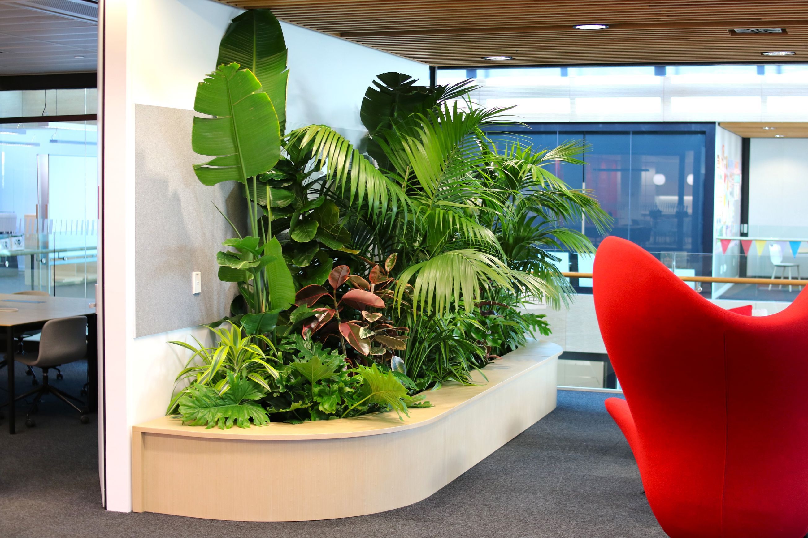 In-Built Gardens | Hire Plants