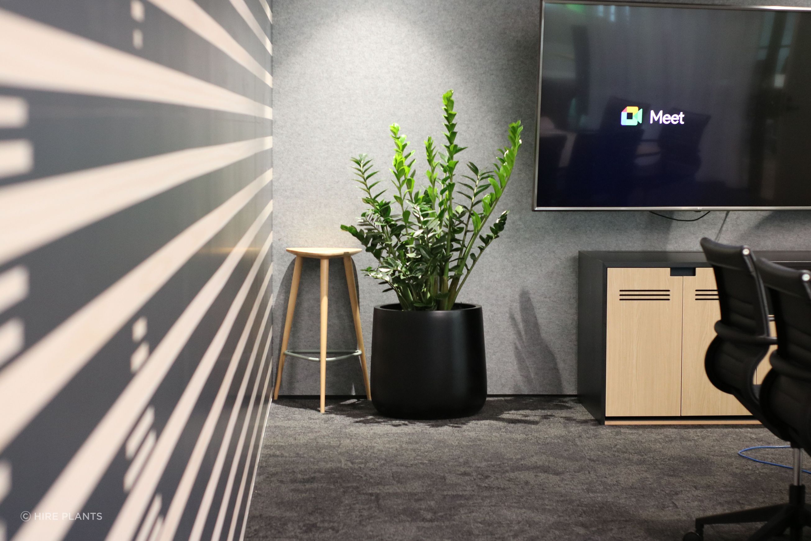 Indoor Plant Hire | Hire Plants