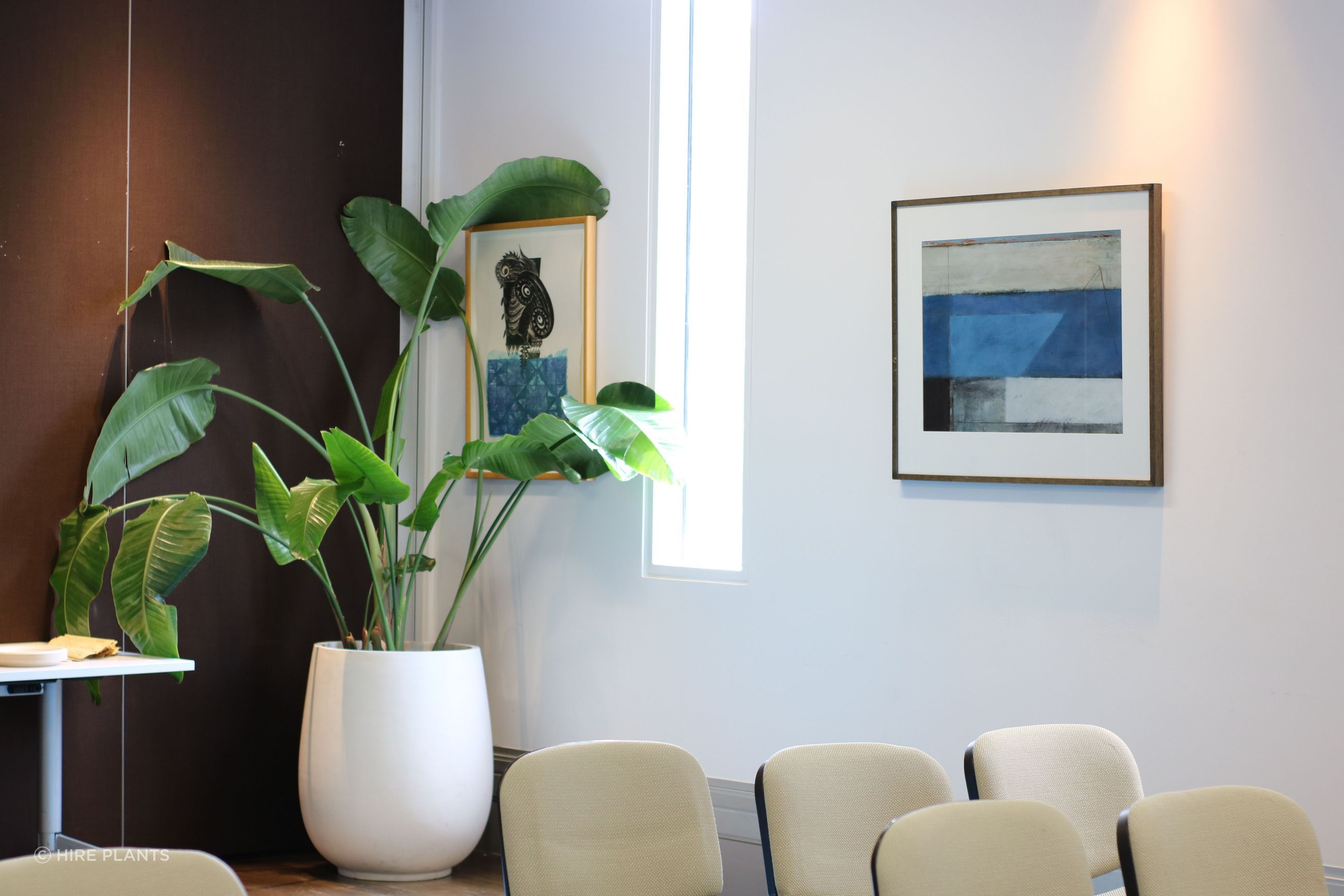 Indoor Plant Hire | Hire Plants