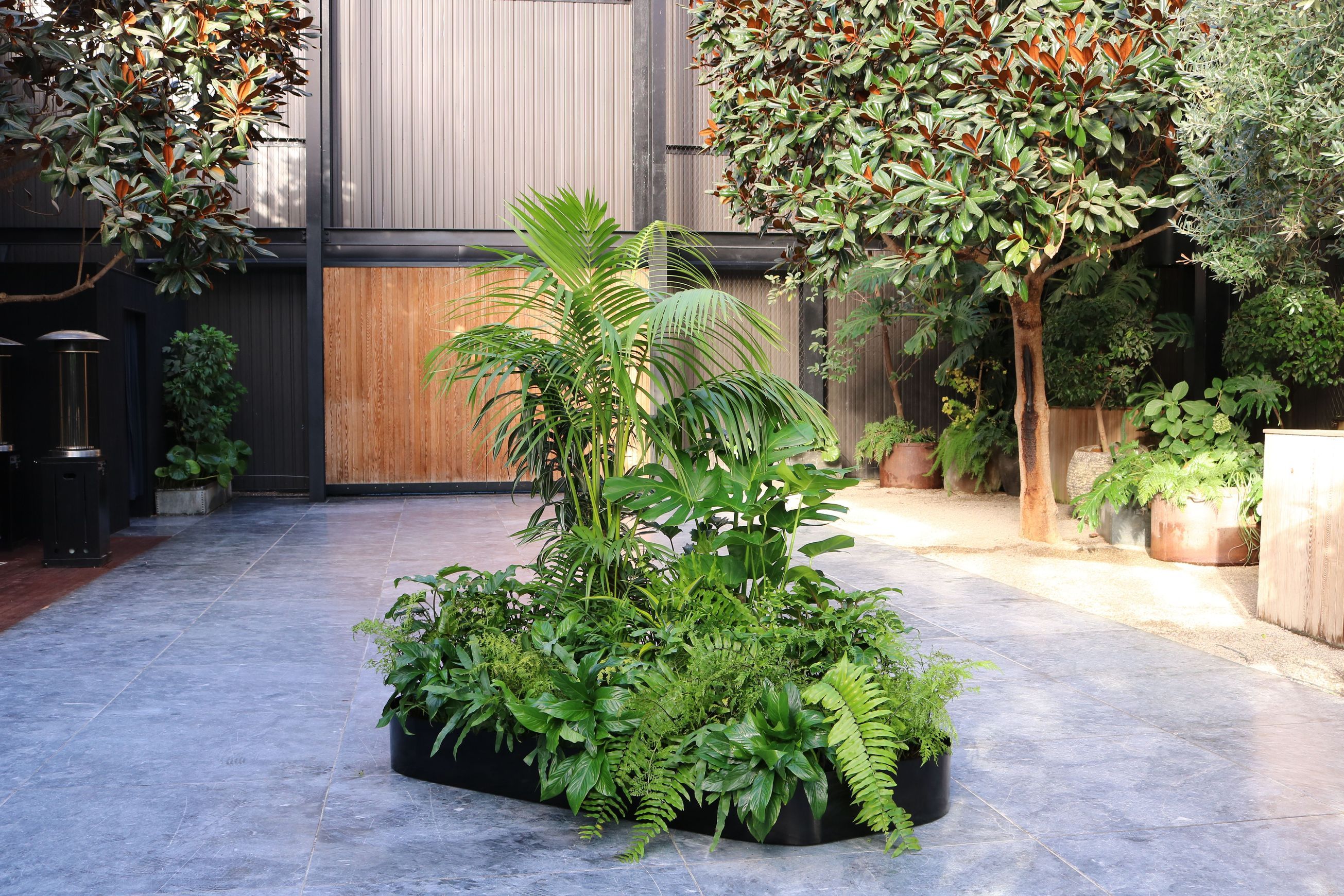Garden Grove | Hire Plants