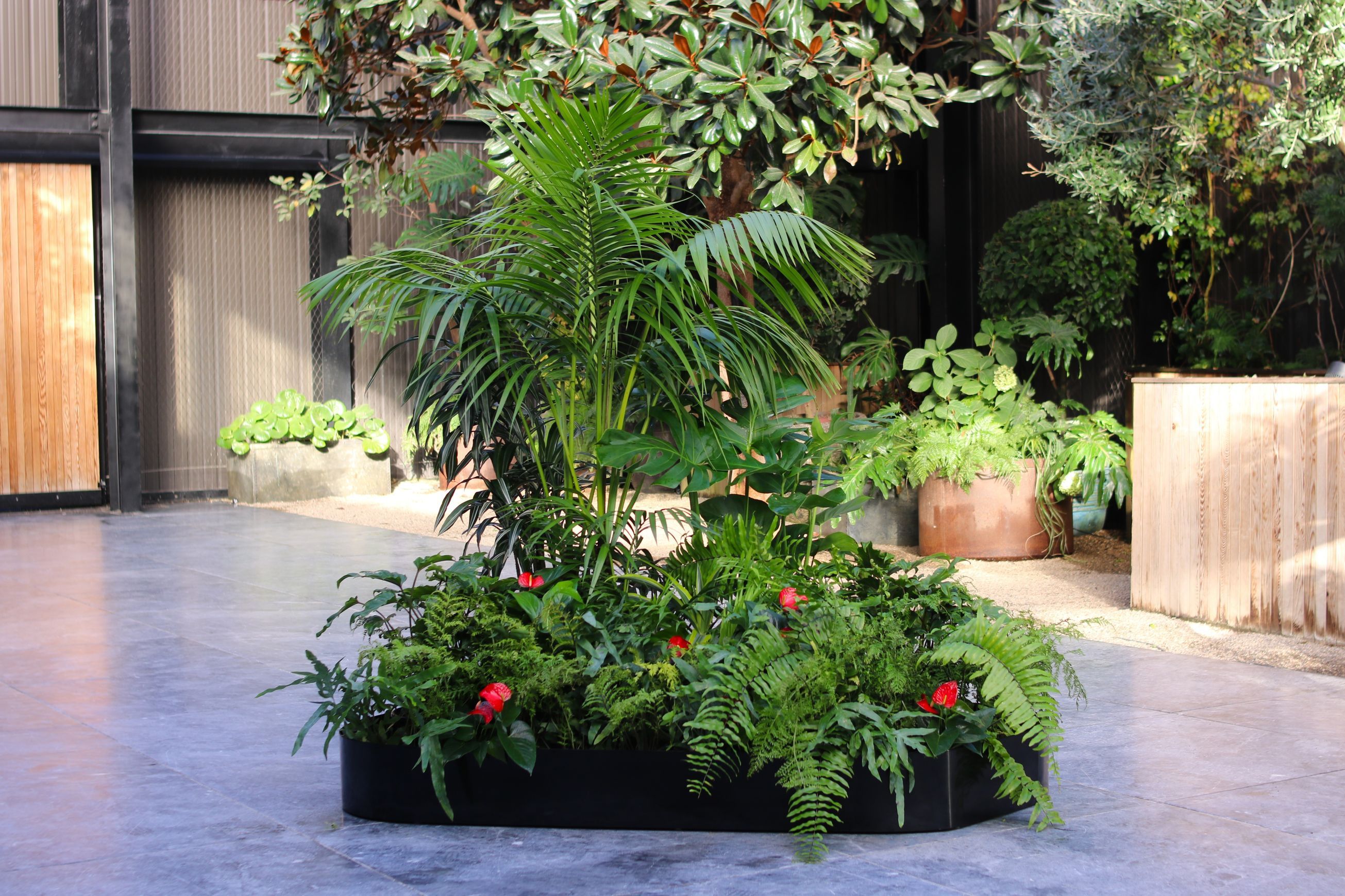 Garden Grove | Hire Plants