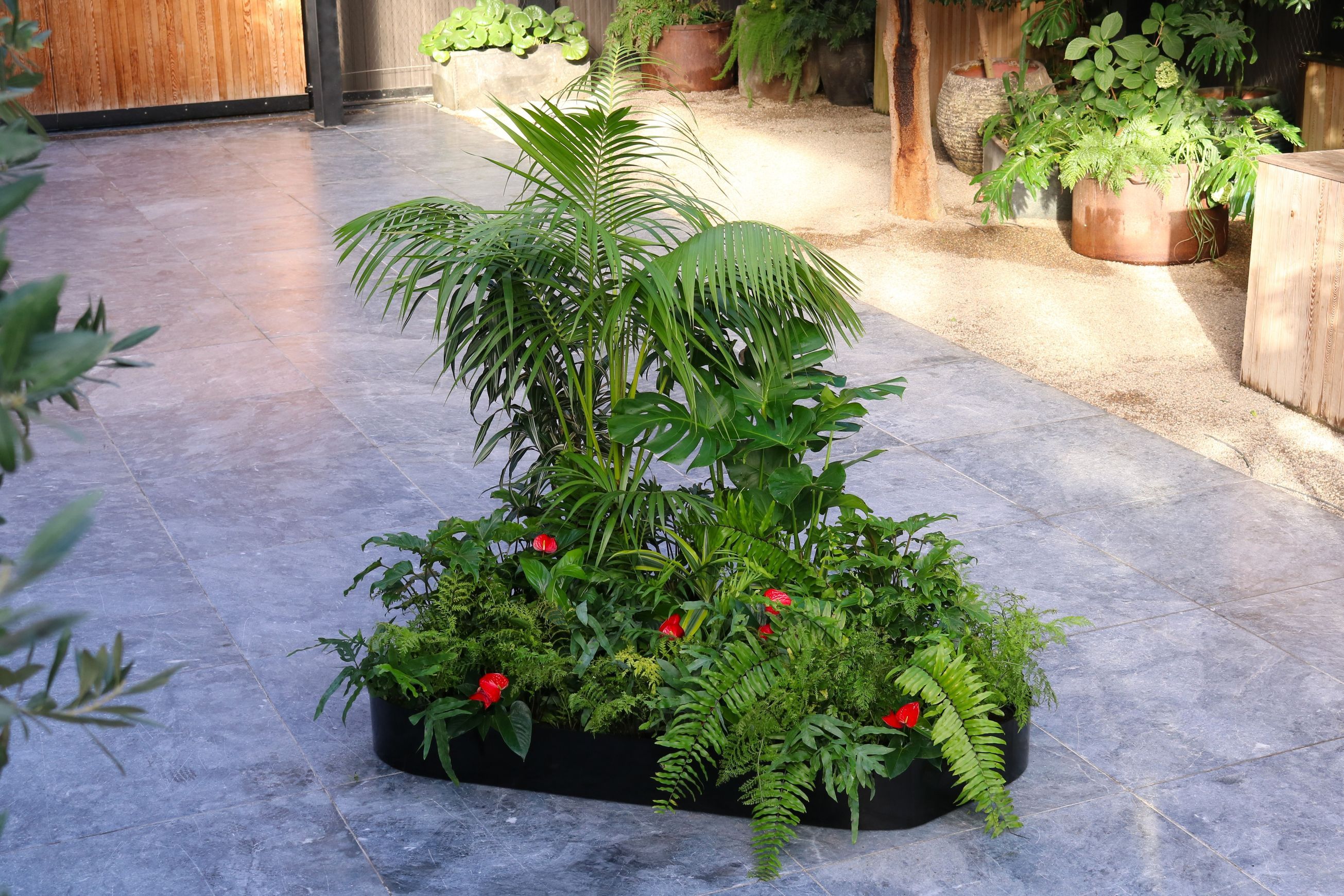 Garden Grove | Hire Plants