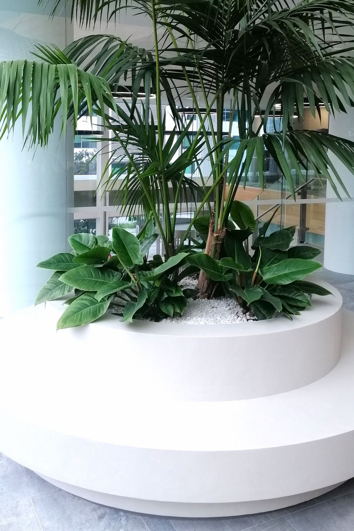 In-Built Gardens | Hire Plants
