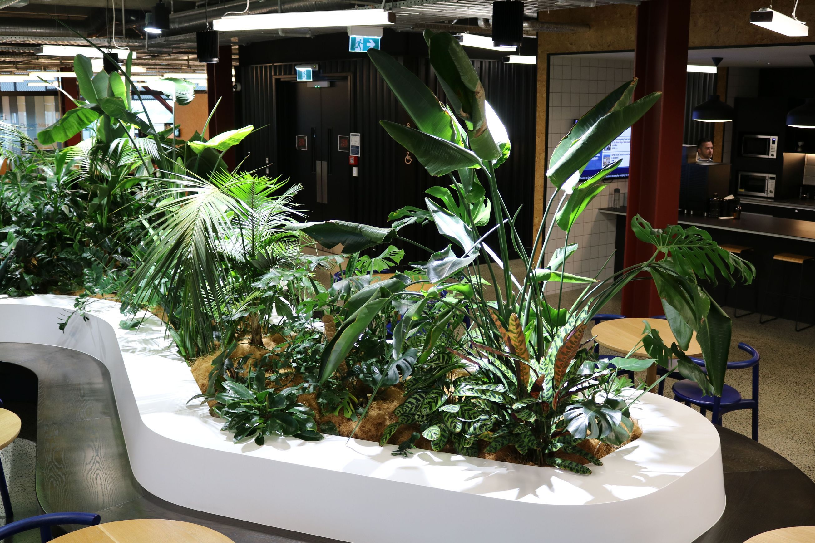 In-Built Gardens | Hire Plants