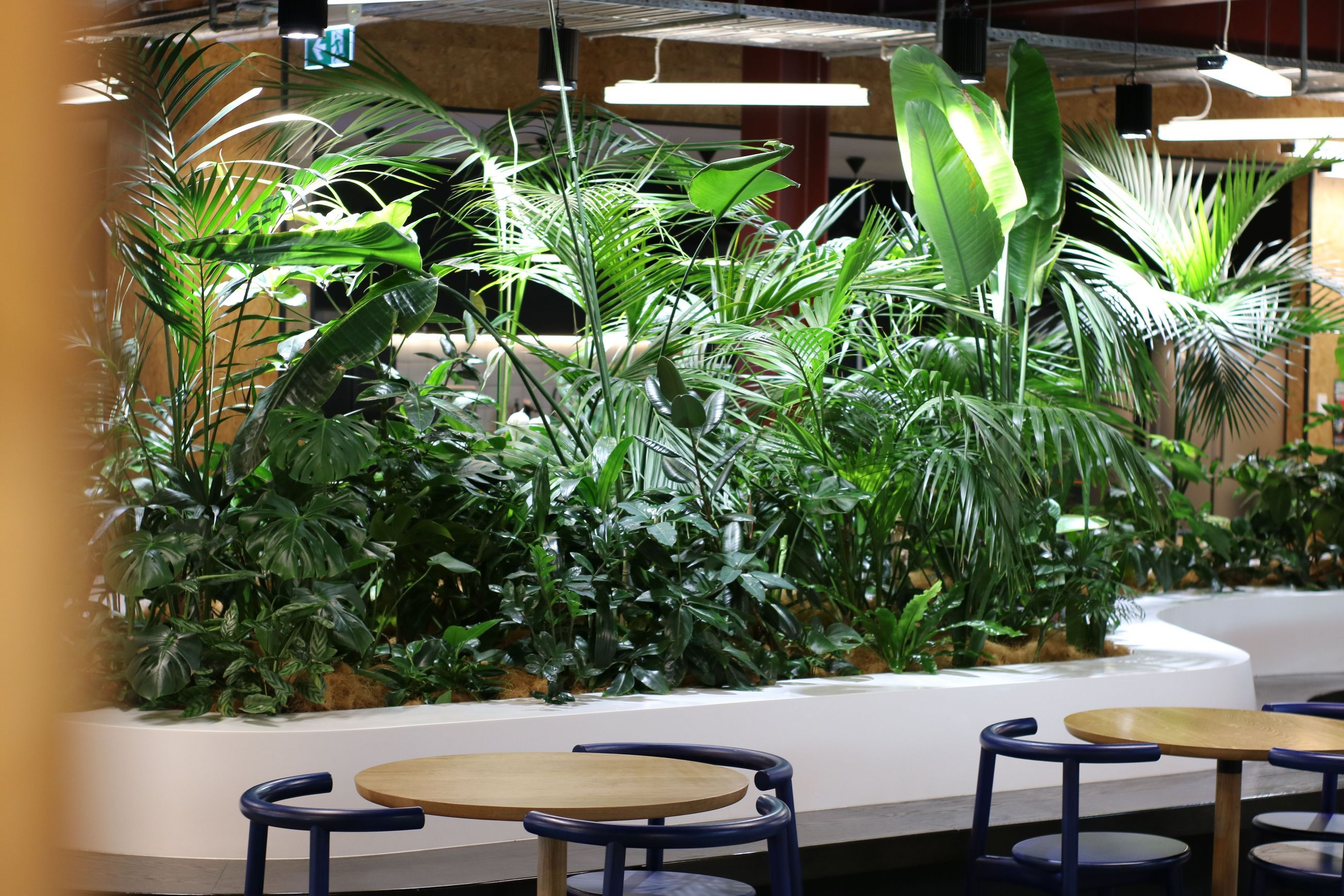 In-Built Gardens | Hire Plants