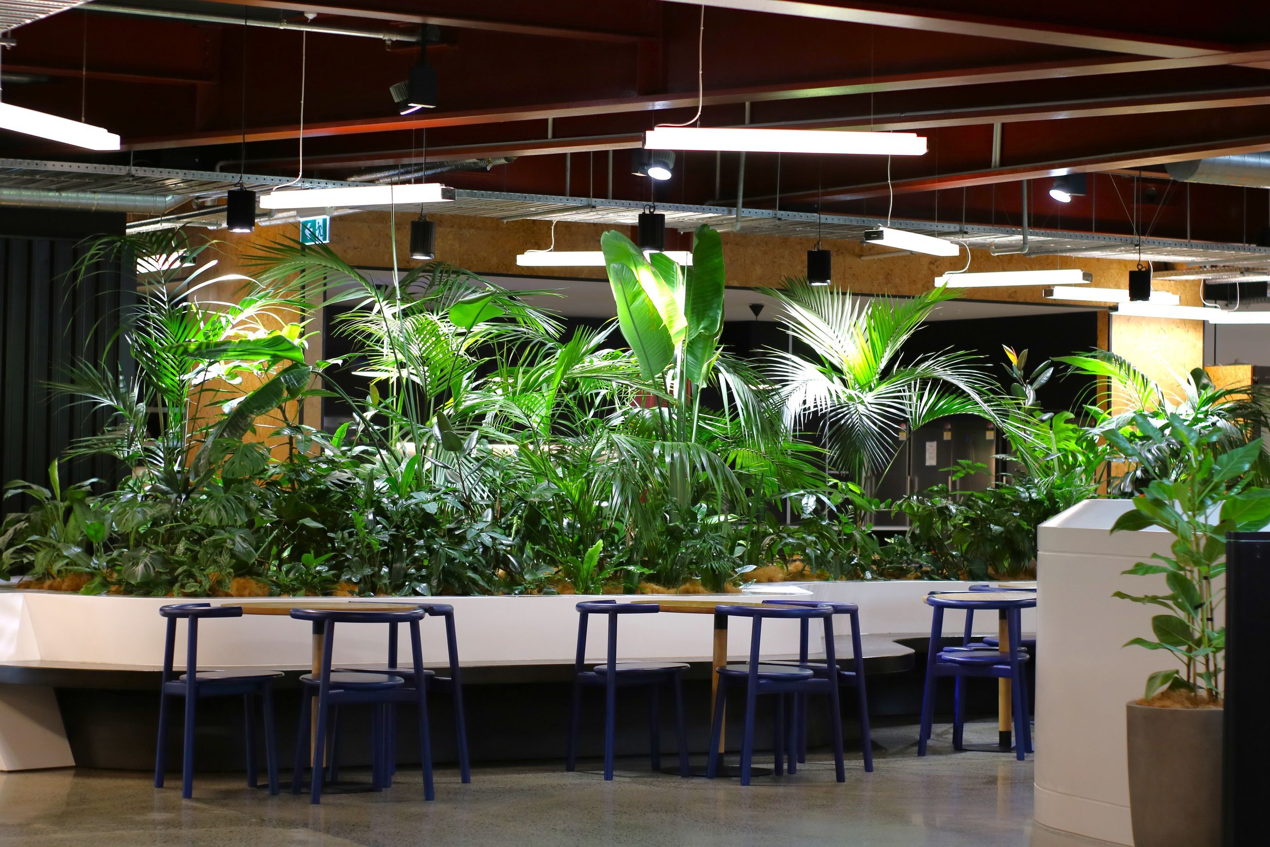 In-Built Gardens | Hire Plants