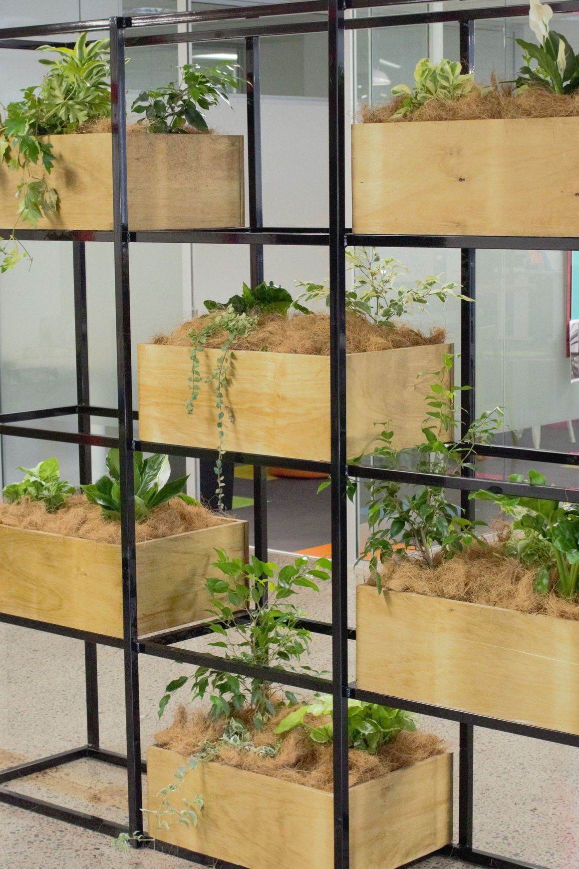 Screening Solutions | Hire Plants