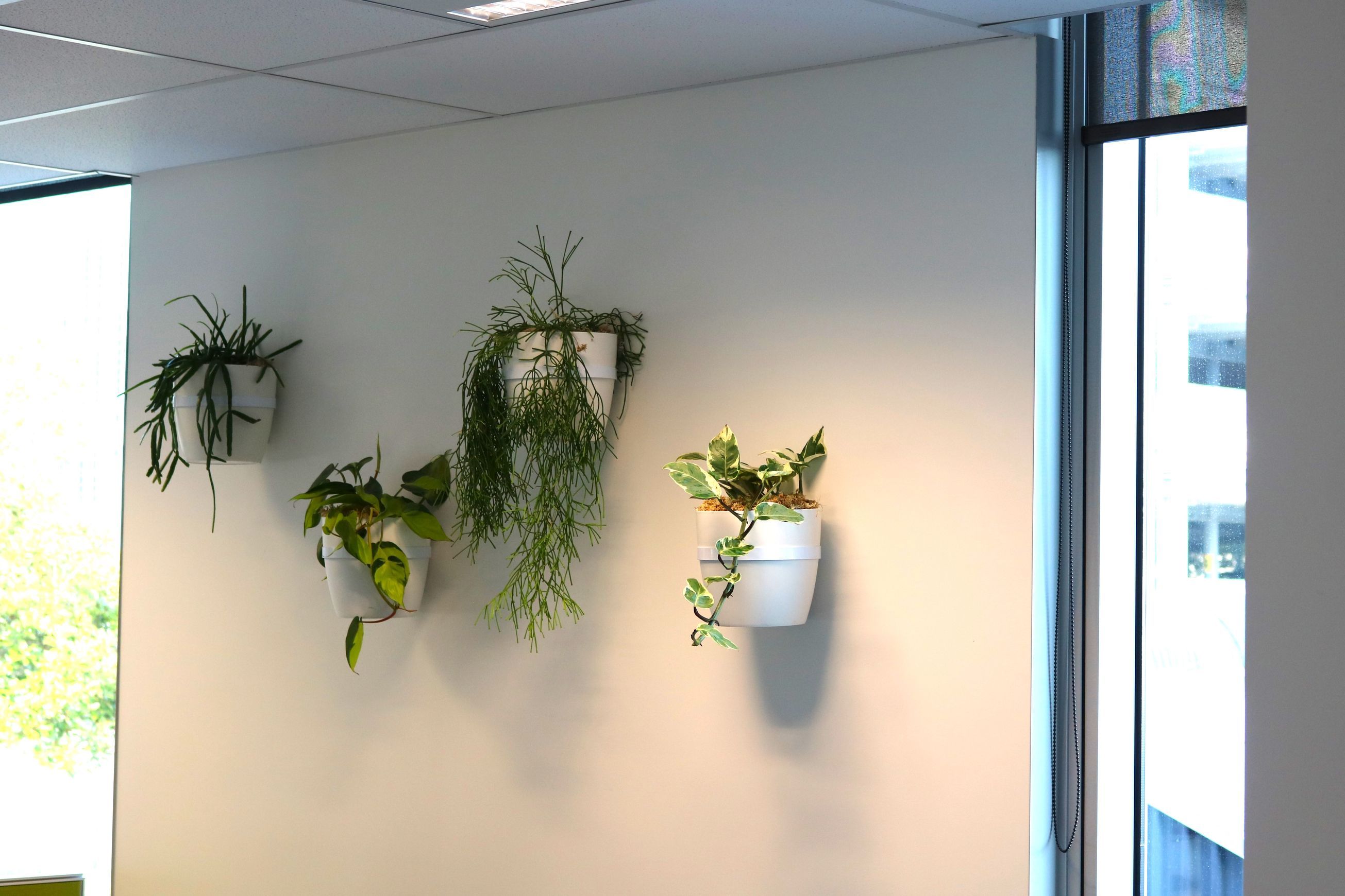 Plant Brackets | Hire Plants