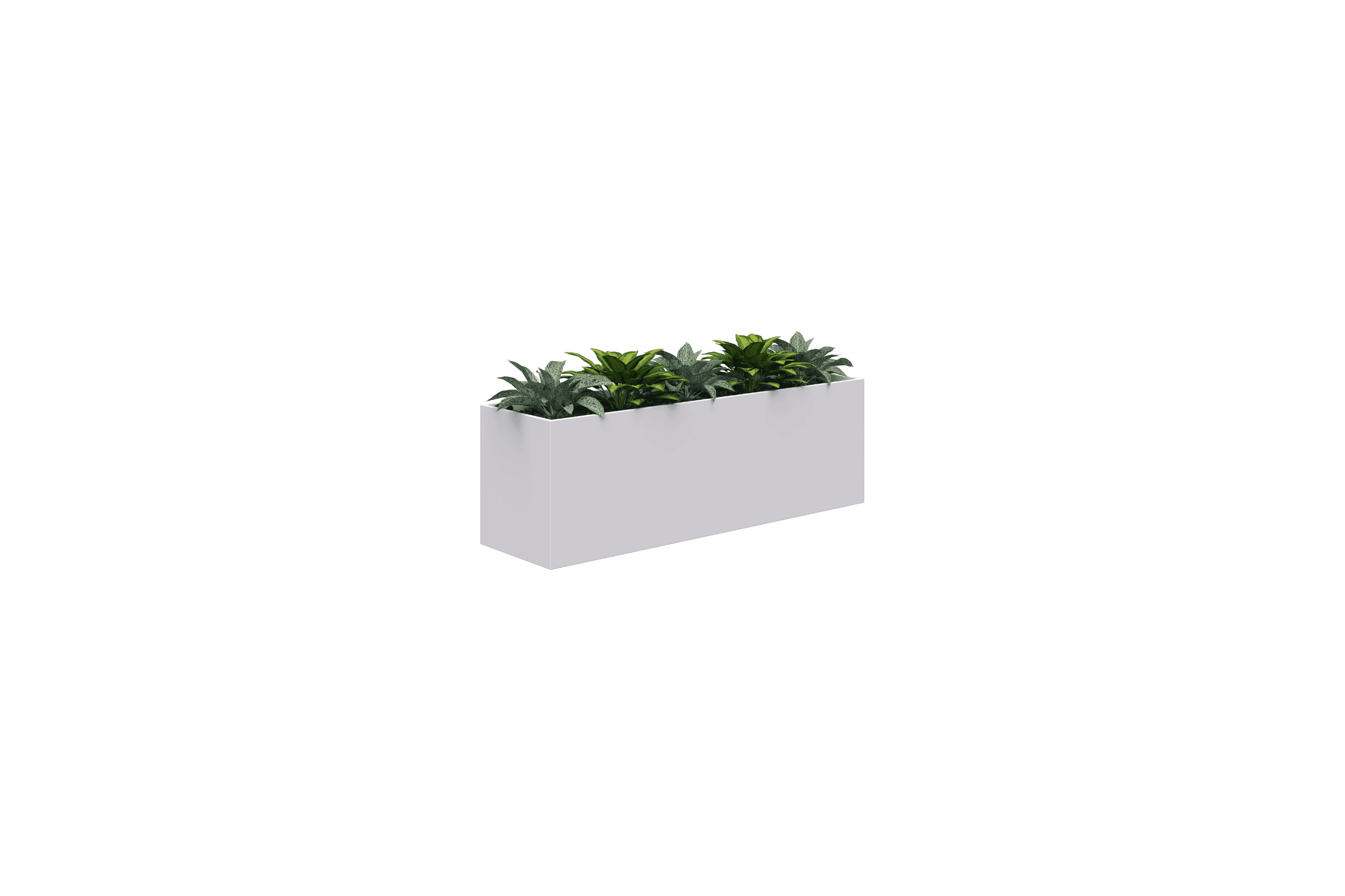 Rapid Planter