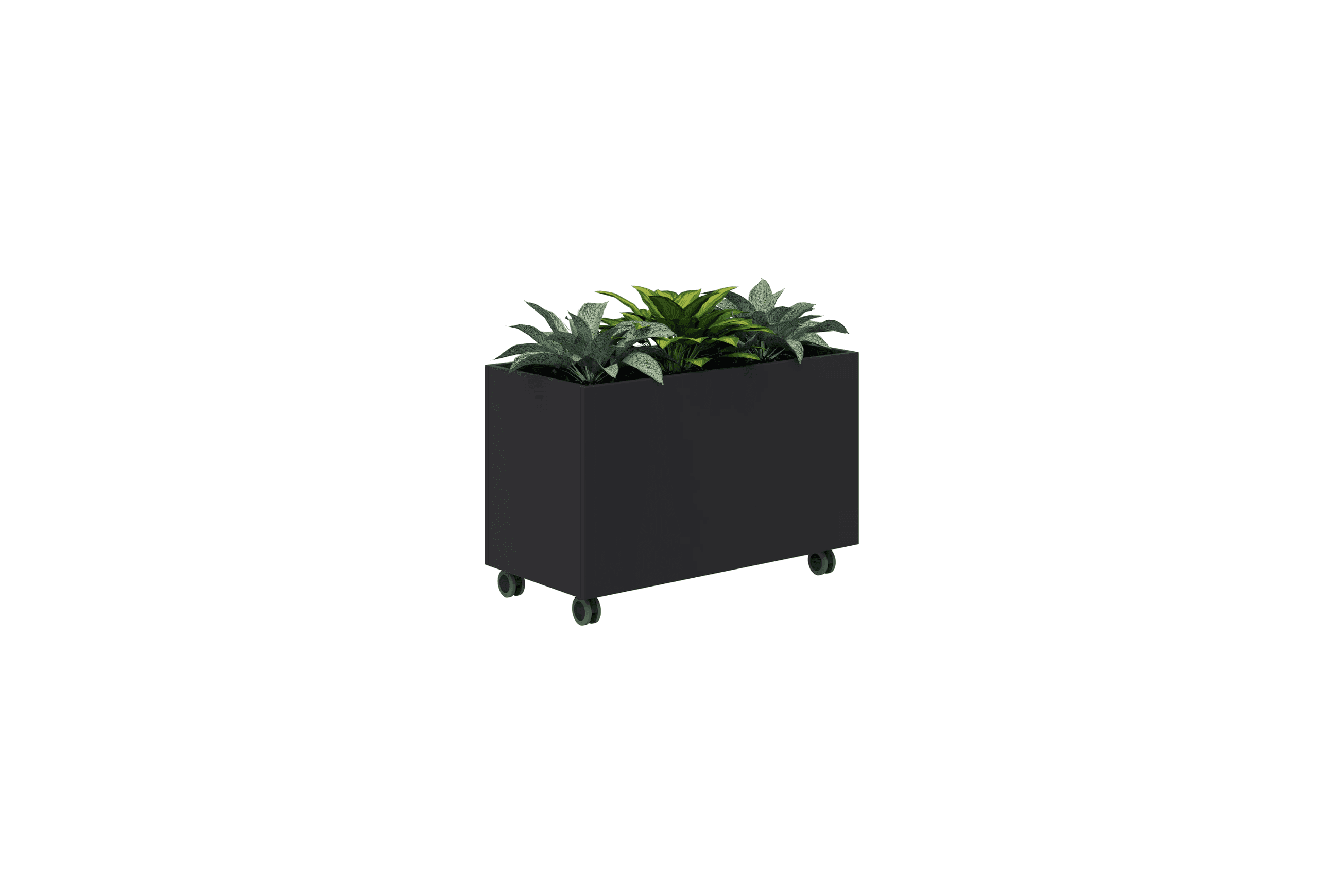Rapid Planter