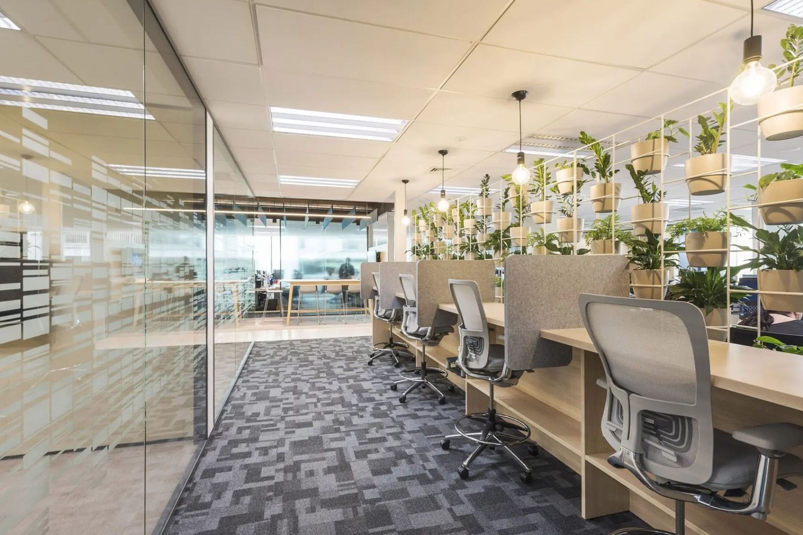 Cove Desk Dividers
