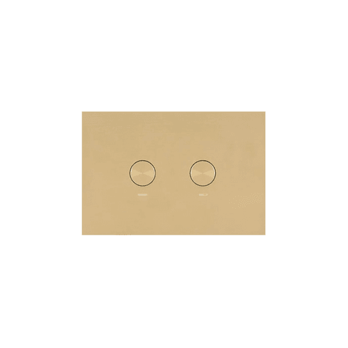 Oli Flush Panel Brushed Brass PVD