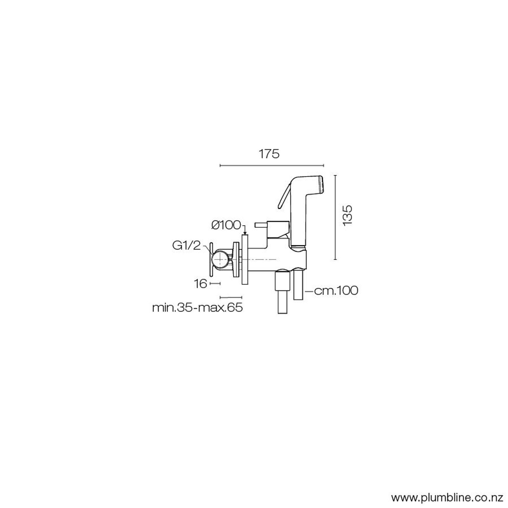 Buddy Bidet Spray With Integrated Mixer