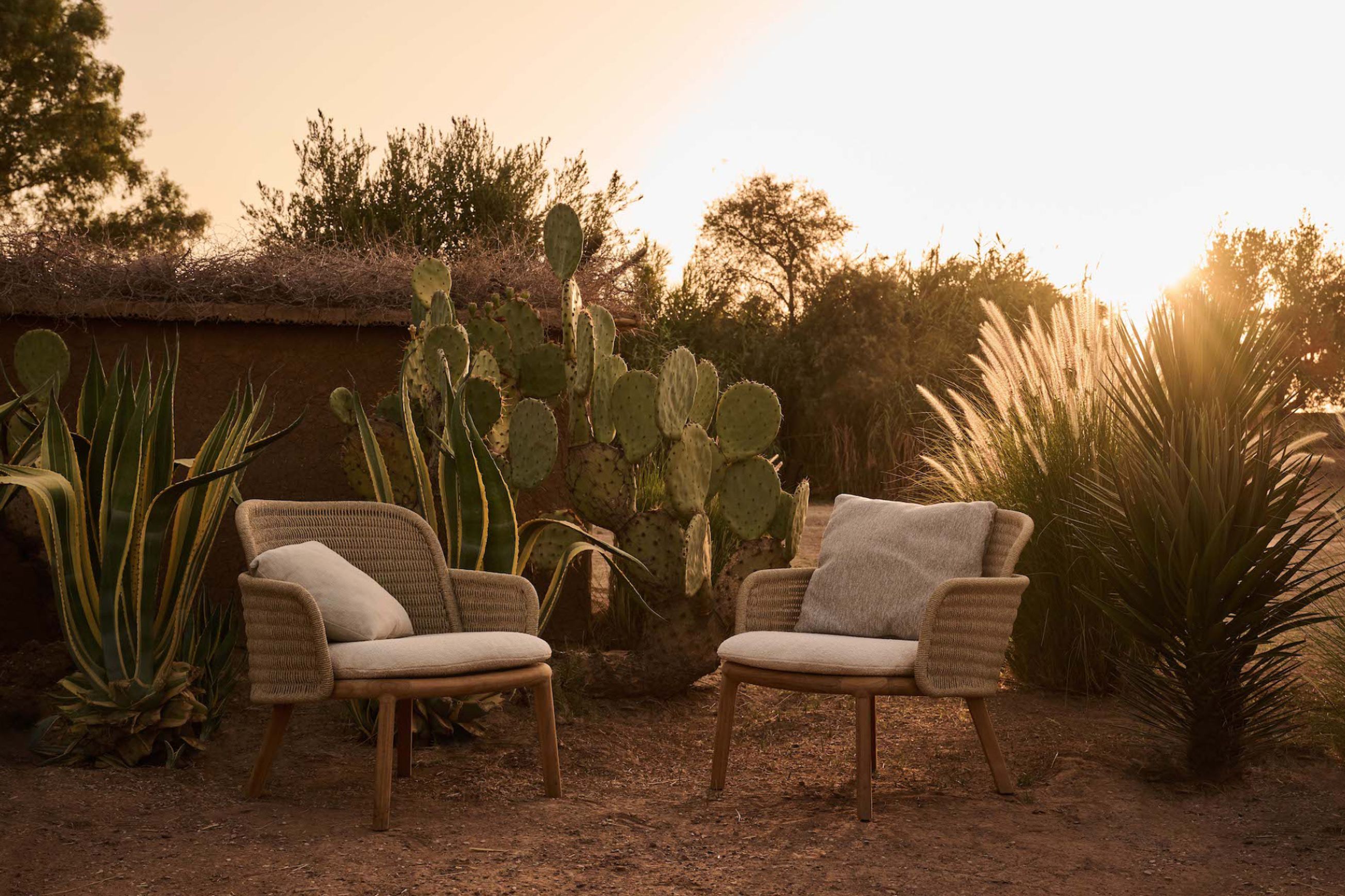 Suro | Lounge Chair