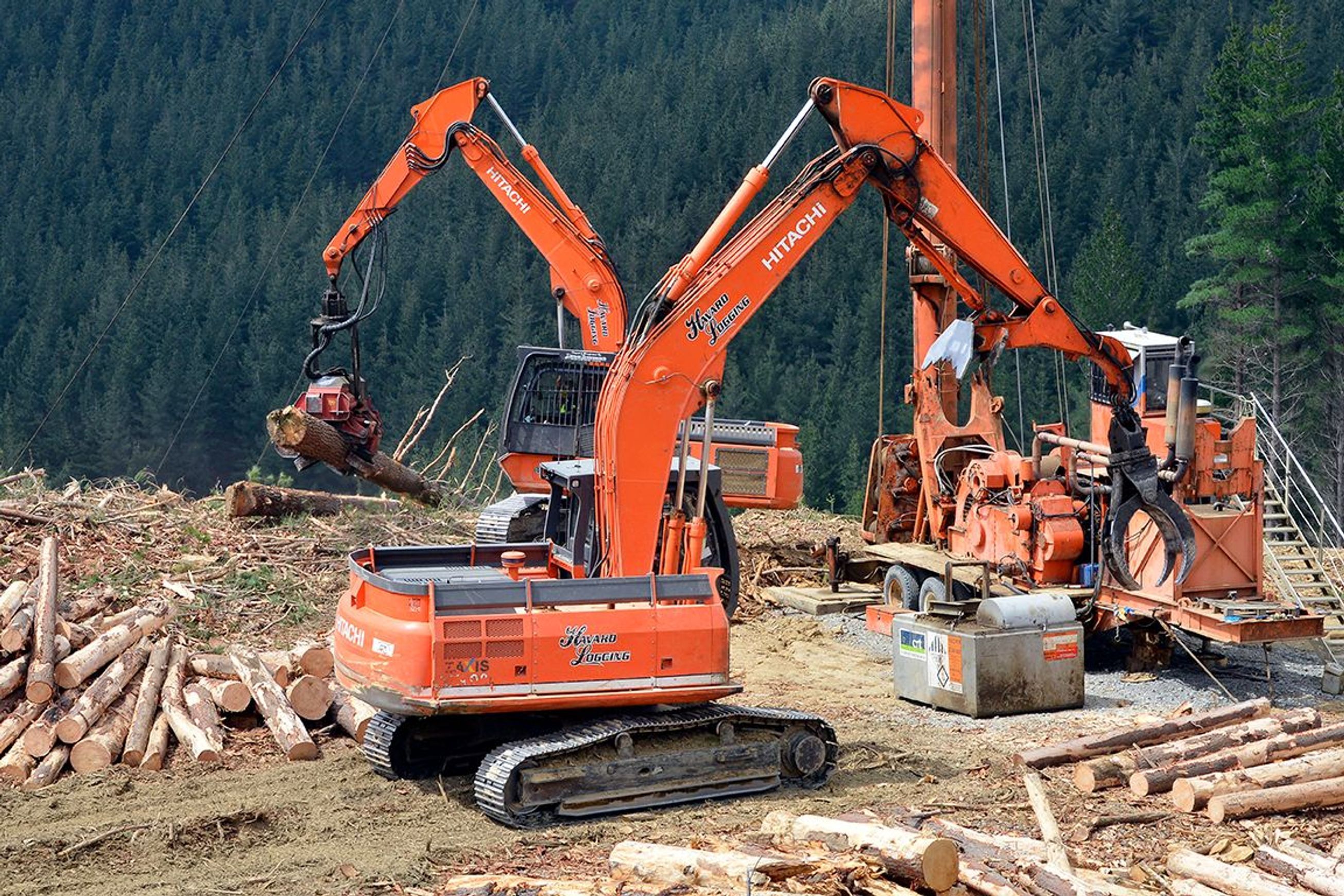 Forestry | Premium Wood Solutions