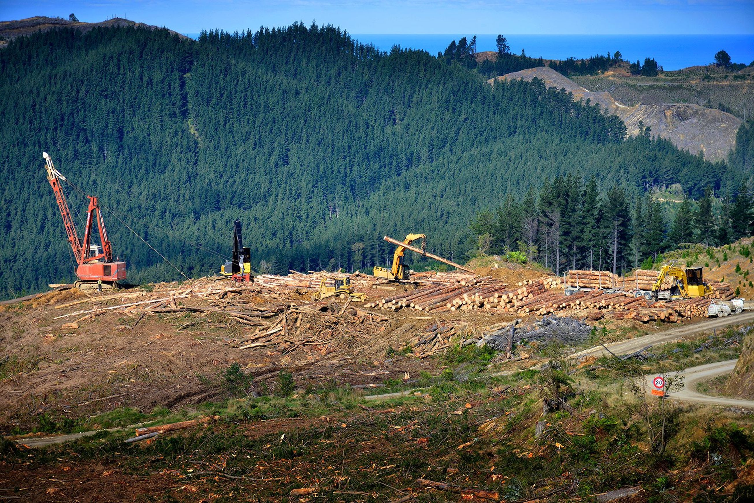 Forestry | Premium Wood Solutions