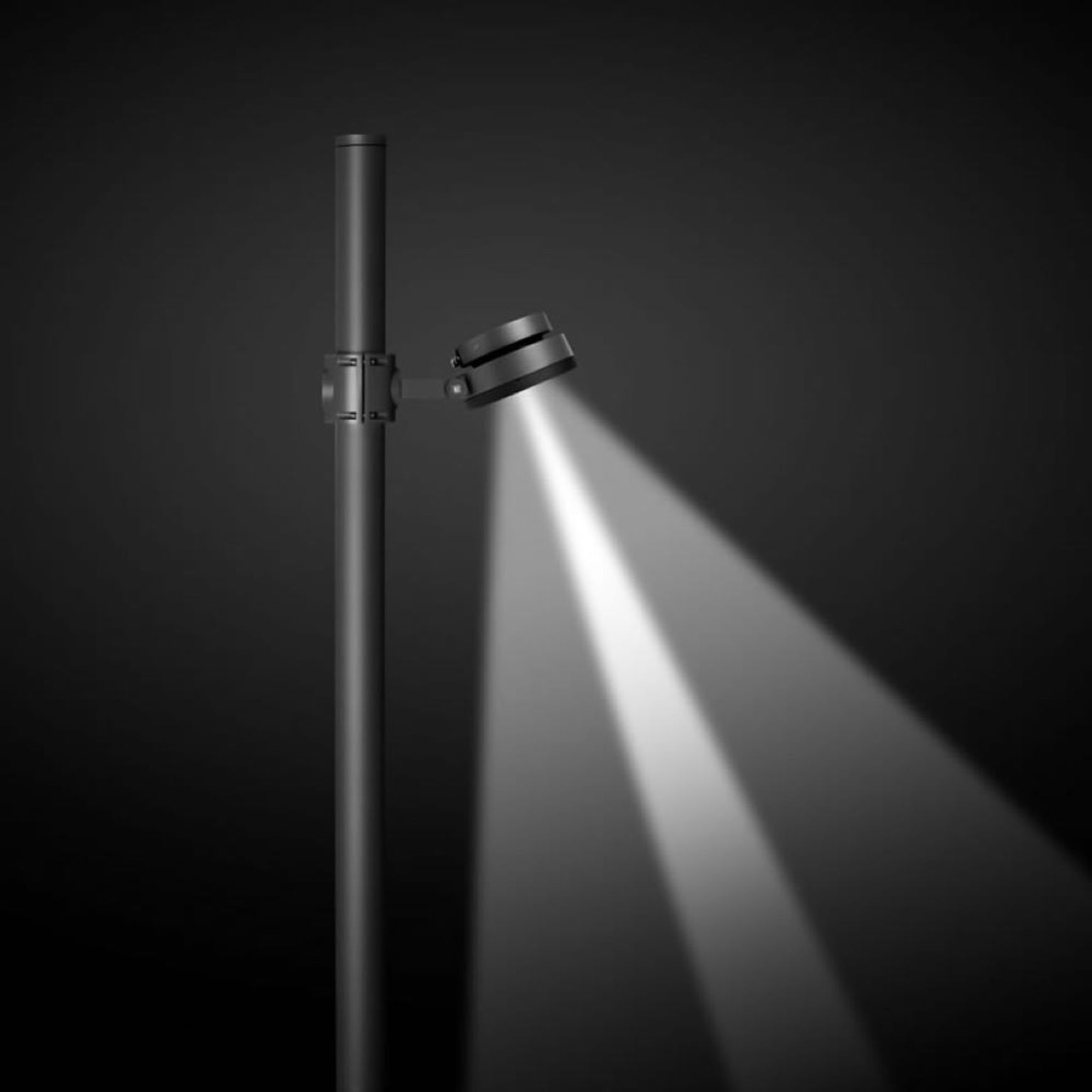 Pointer Pole Mounted