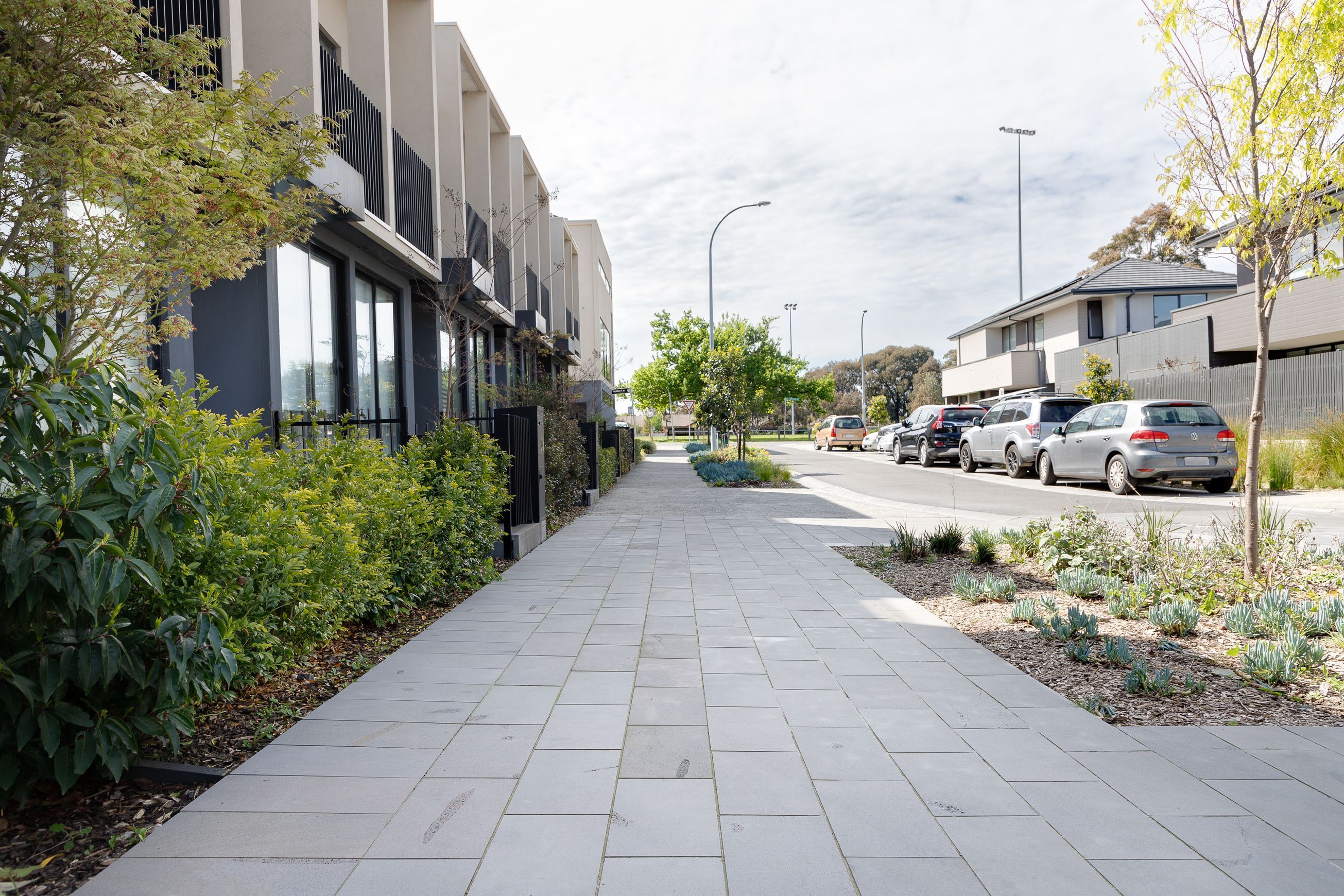 Melbourne City Approved, Tiliqua Bluestone Pavers