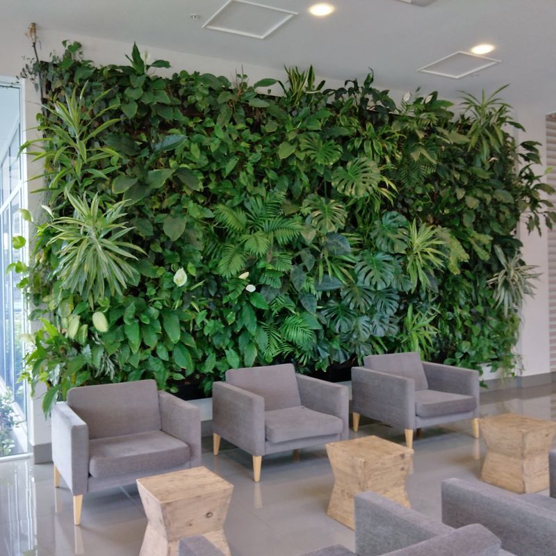 Vertical Green Walls | Hire Plants