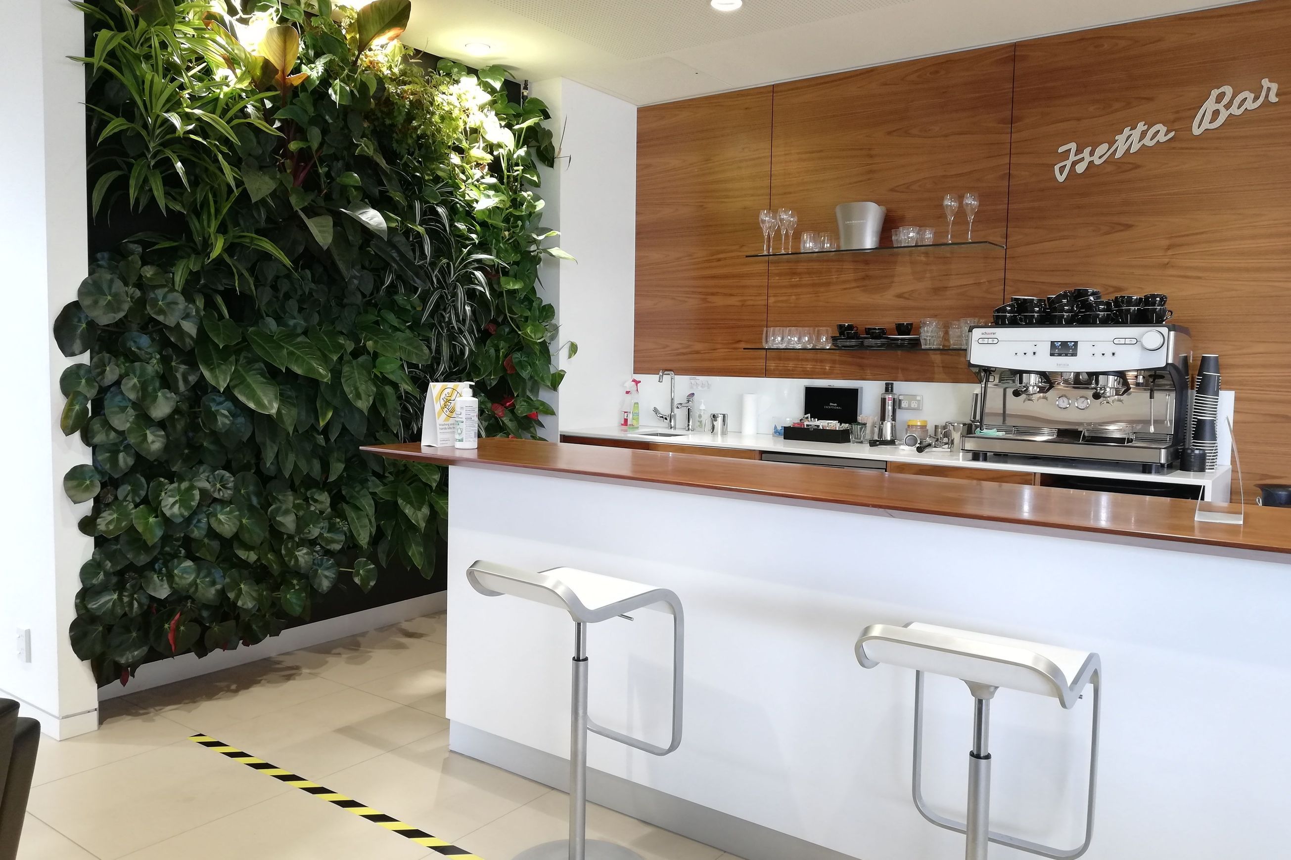 Vertical Green Walls | Hire Plants
