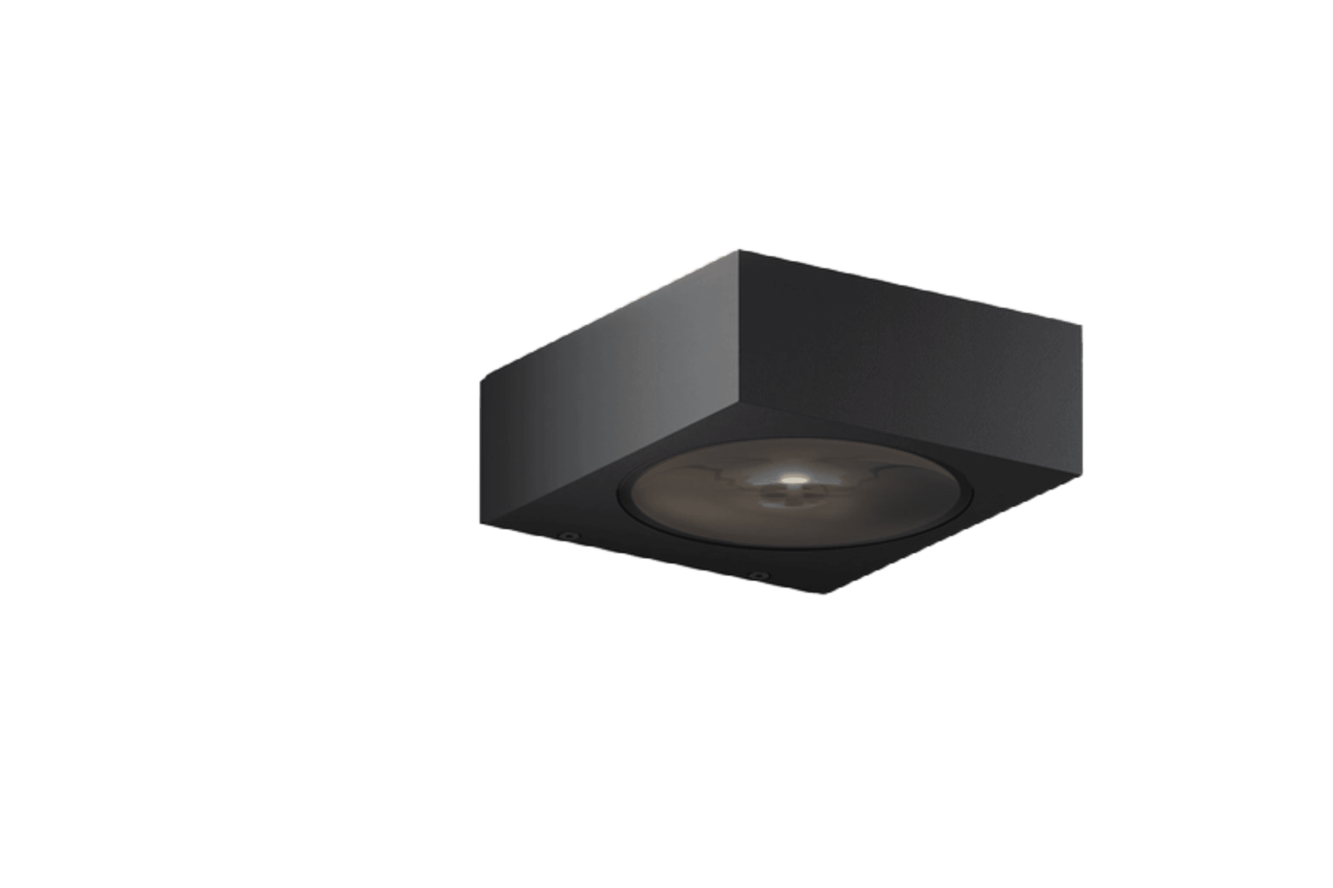 Luci Outdoor Wall Light