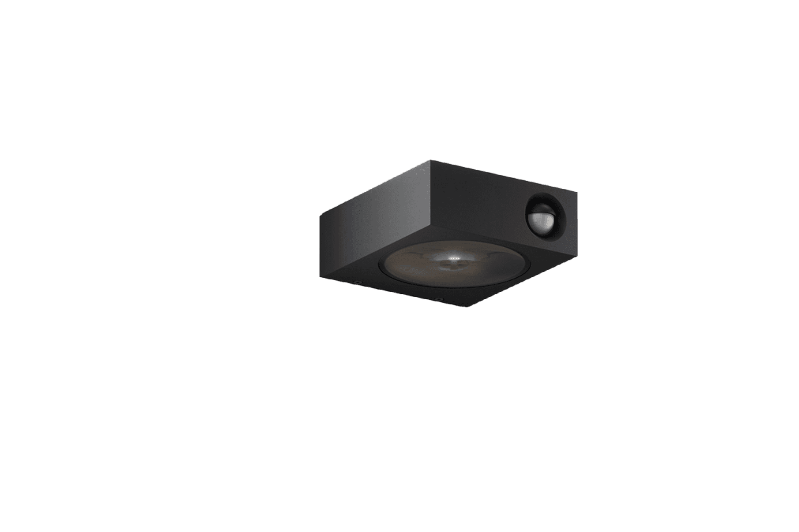 Luci Control Outdoor Wall Light