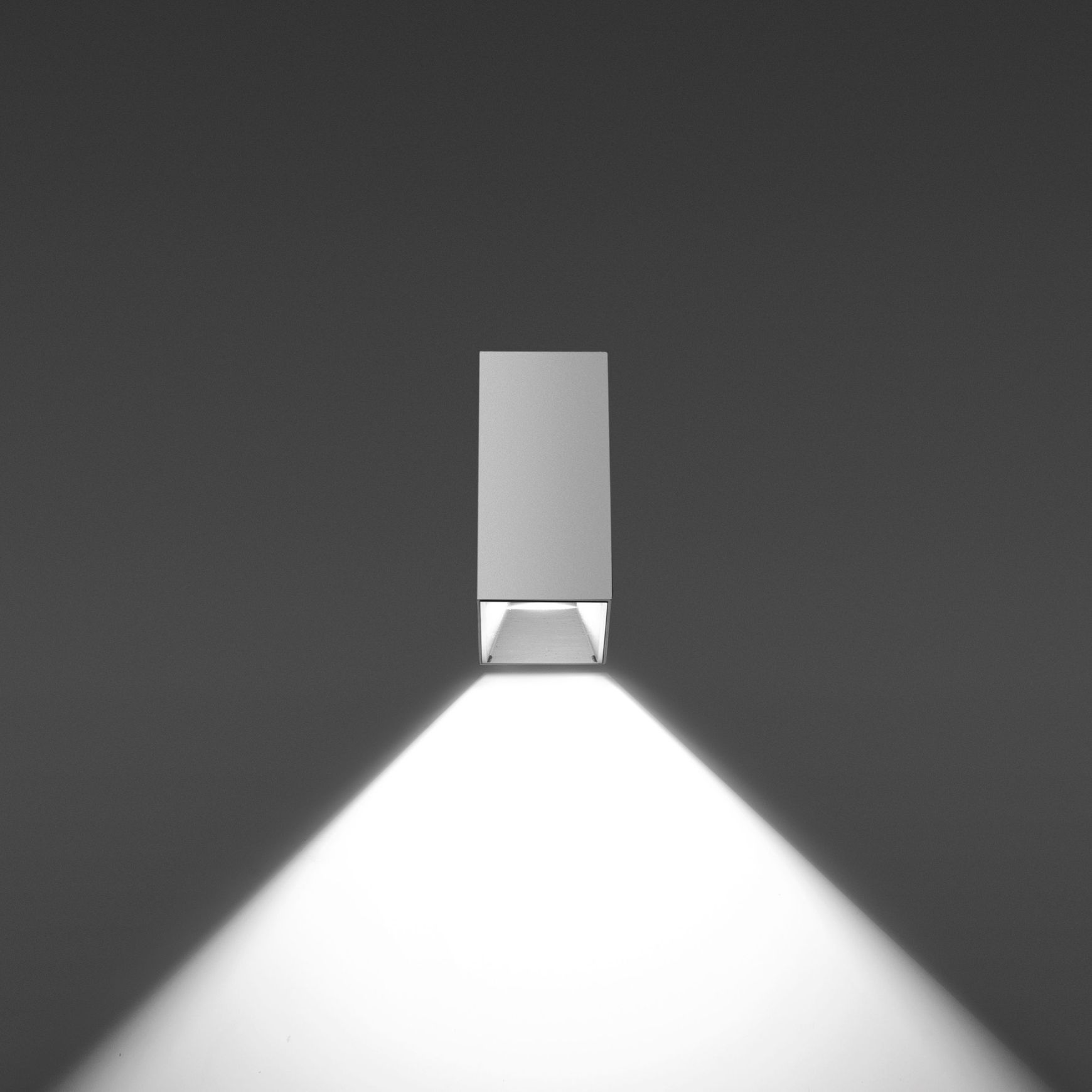 Apply Wall Applique Wall Light