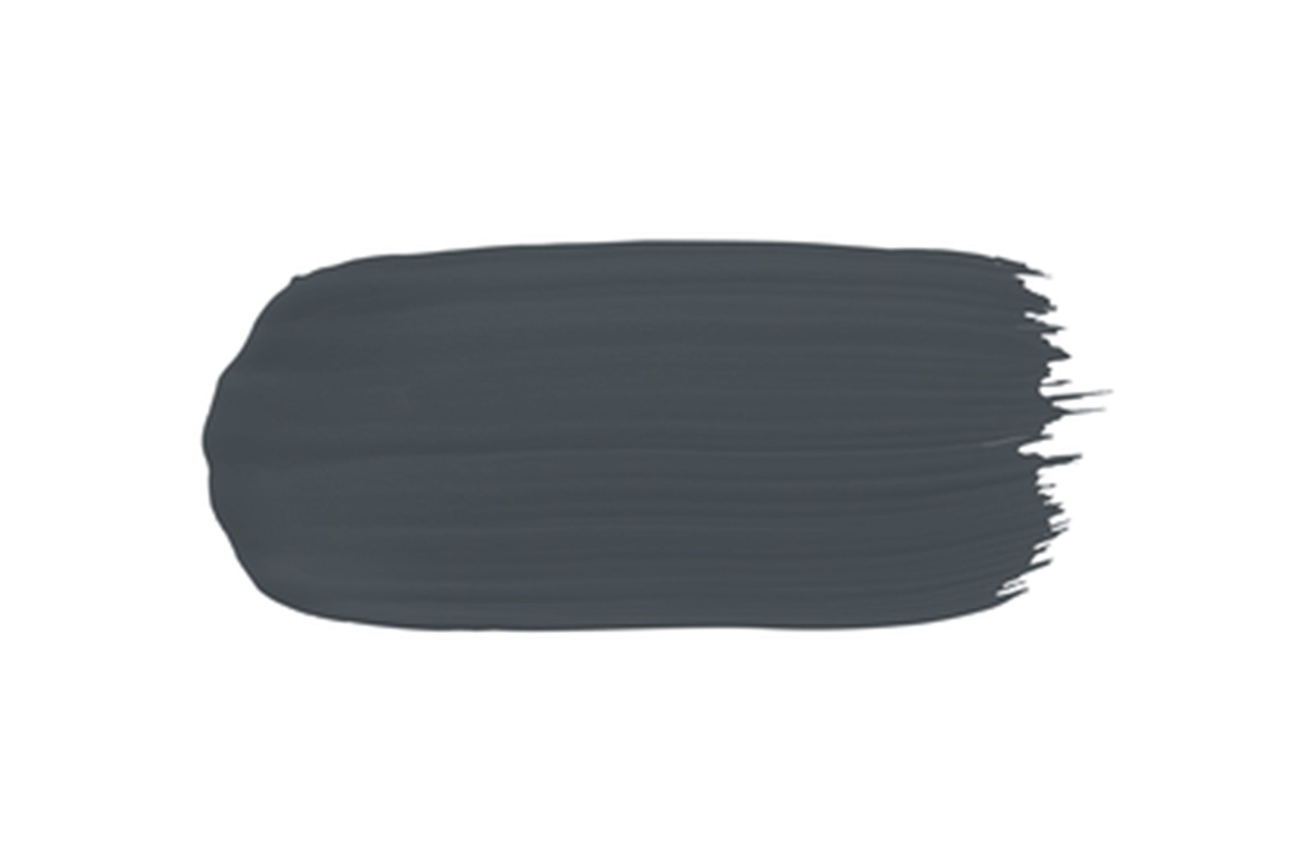 Eggshell Acrylic Paint in Squid Ink