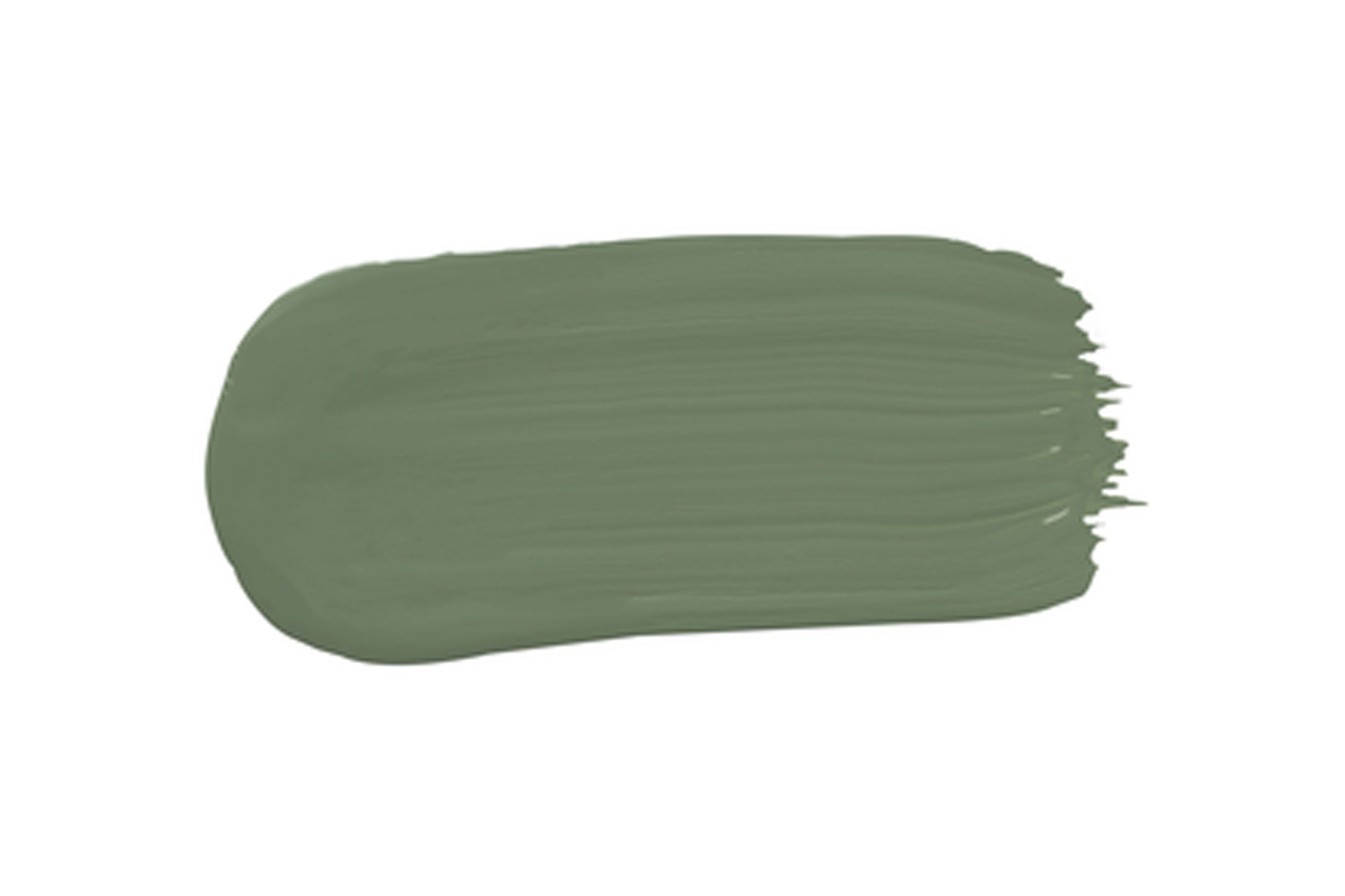 Eggshell Acrylic Paint in Bayleaf