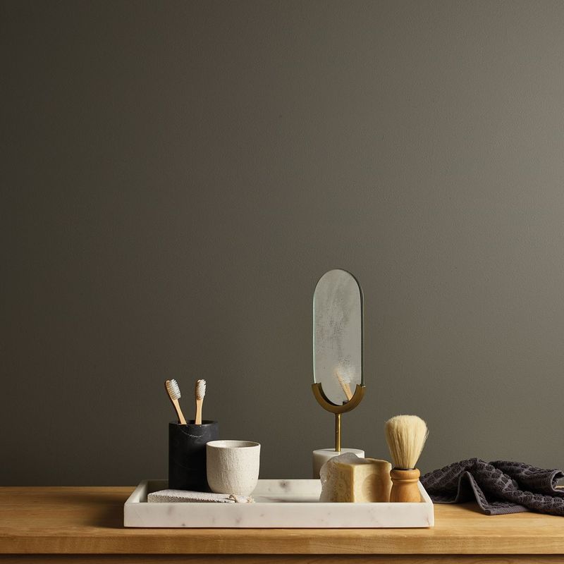 Eggshell Acrylic Paint in Mineral