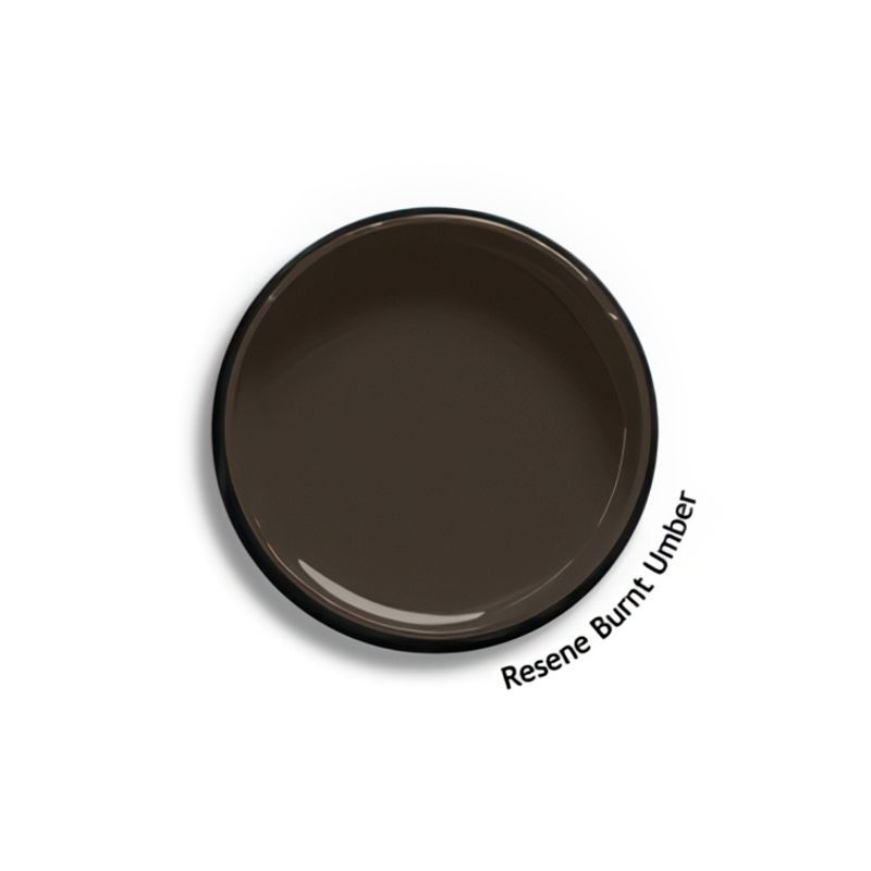 Resene Burnt Umber