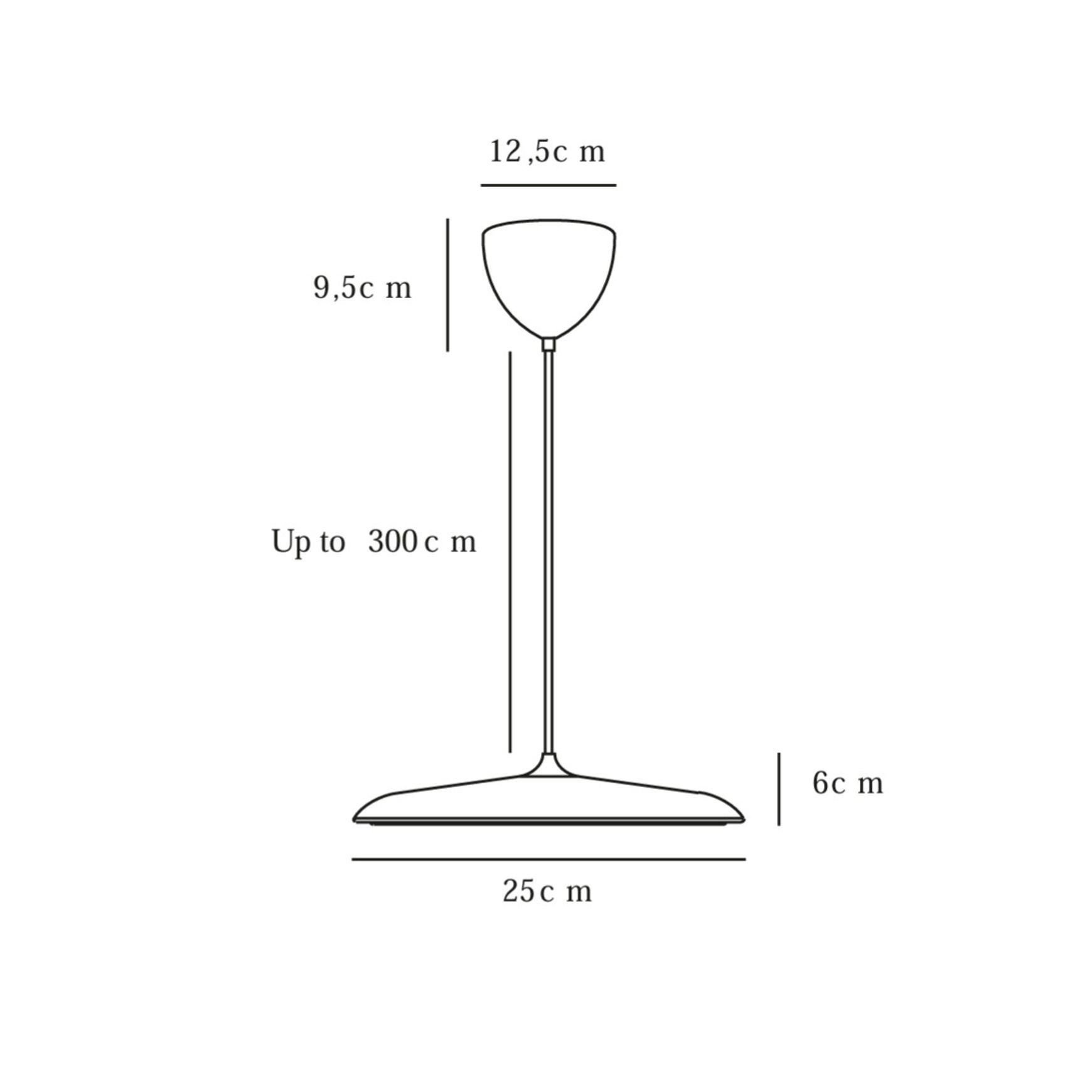 Artist 25 Pendant Light
