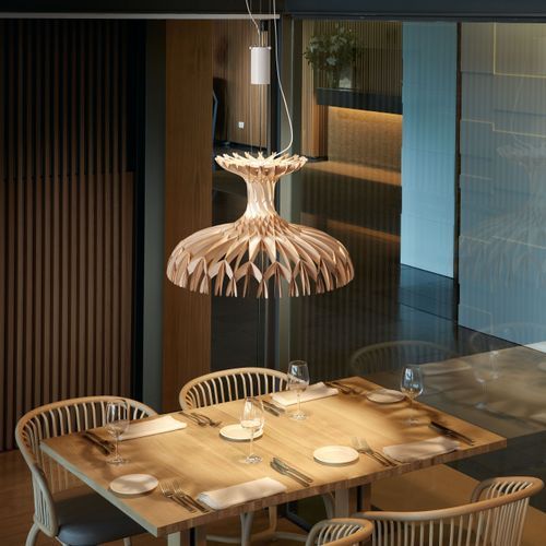 Dome 60/02 Pendant Light