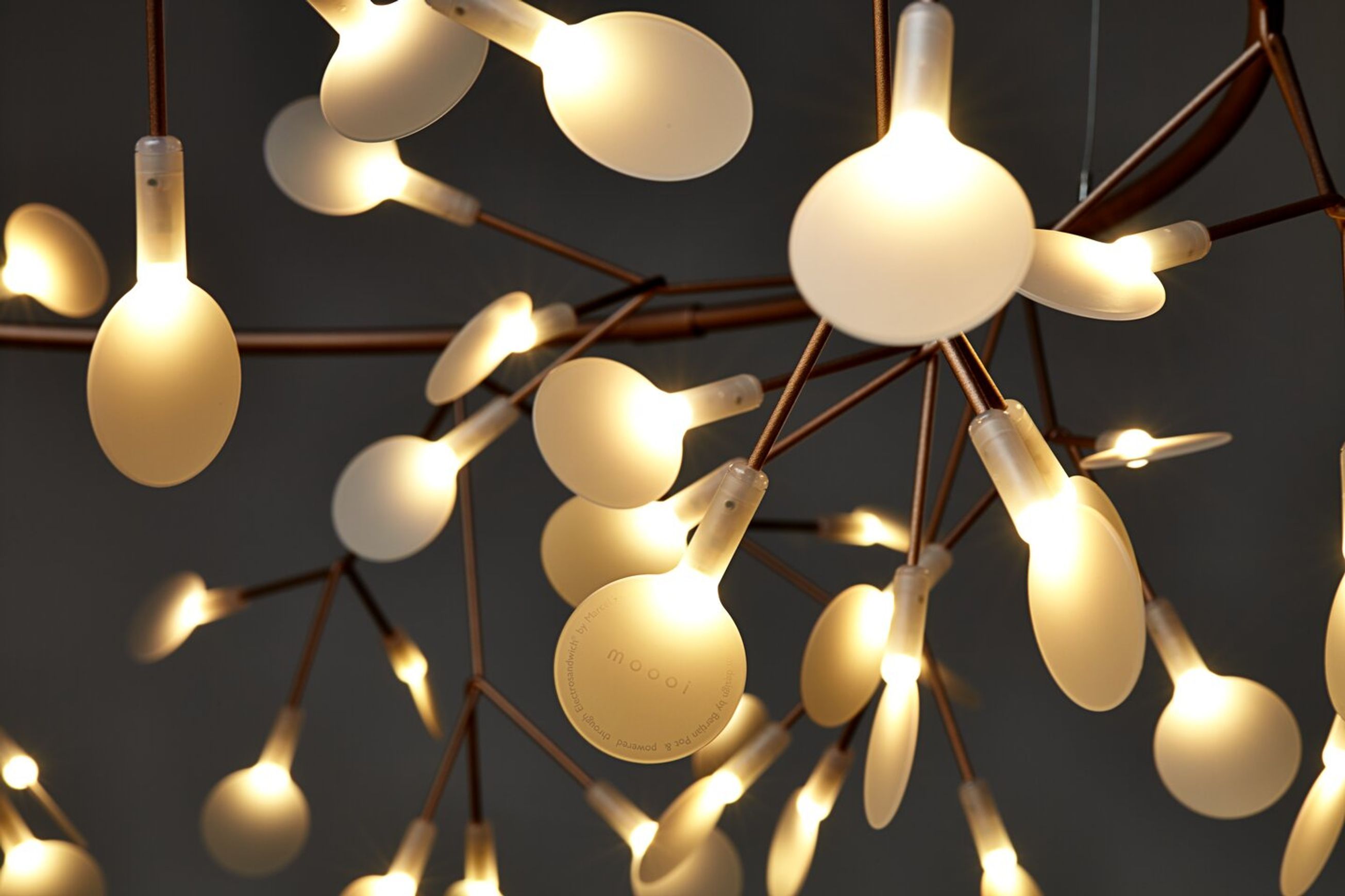 Heracleum The Big O Suspension Lamp | Lighting