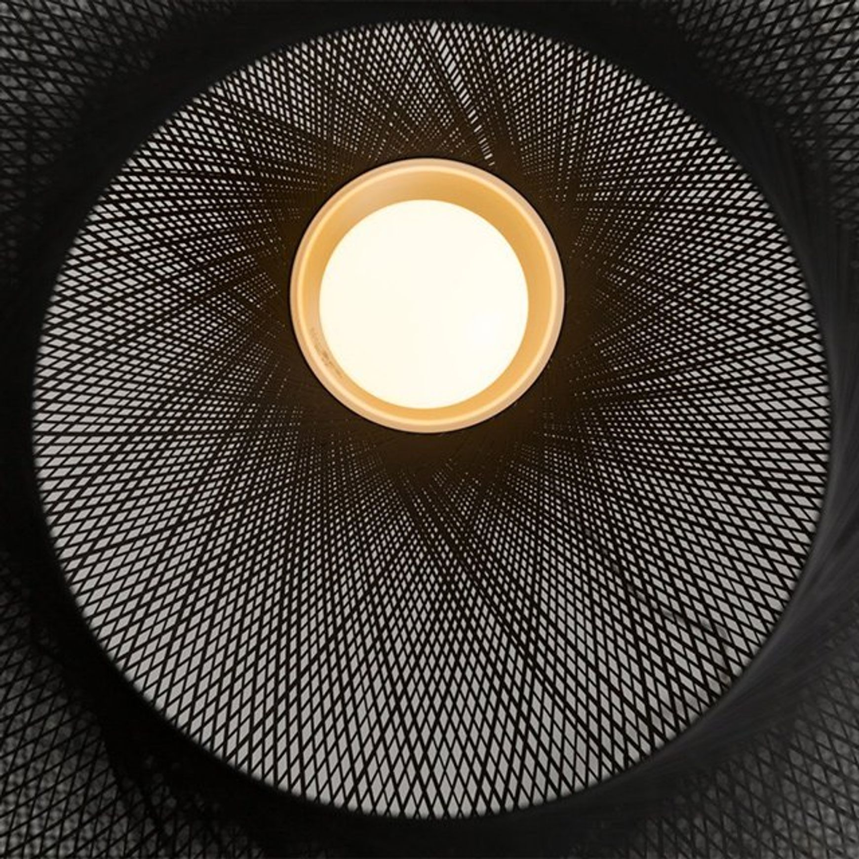 Non Random Large | Suspension Lamp