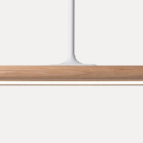 Spru Pendant | Tasmanian Oak
