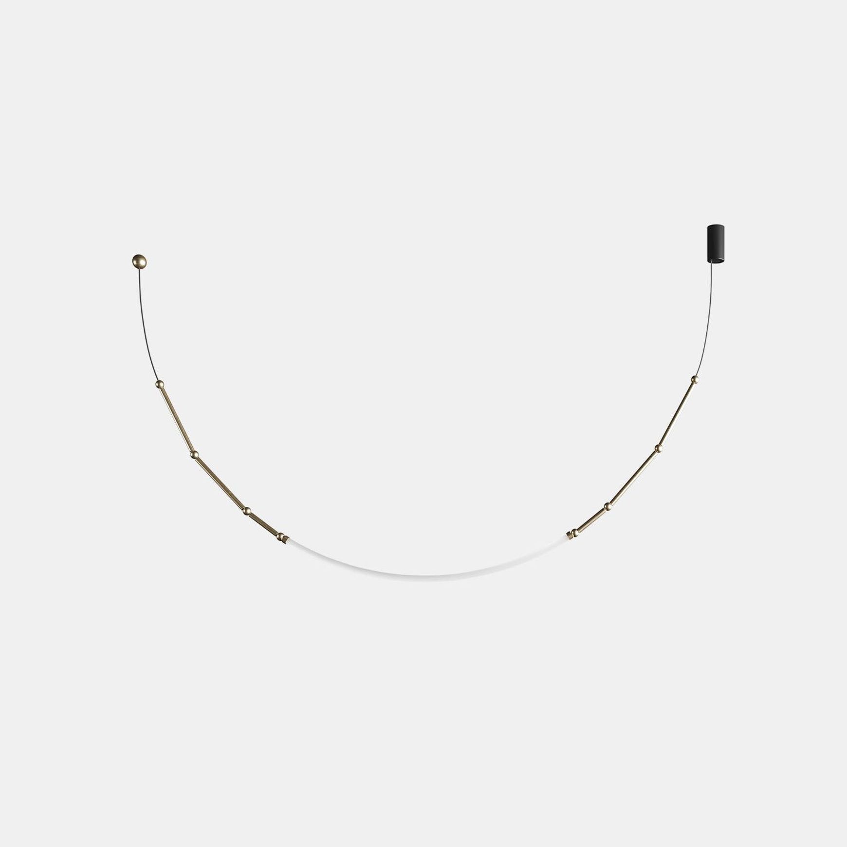 Leda Curve Pendant Light