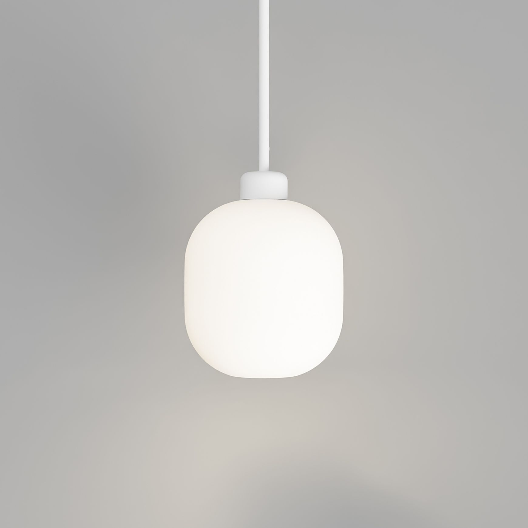 Parlour Lite Curve Pendant Light