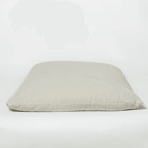 Buckwheat Hull | Pillow