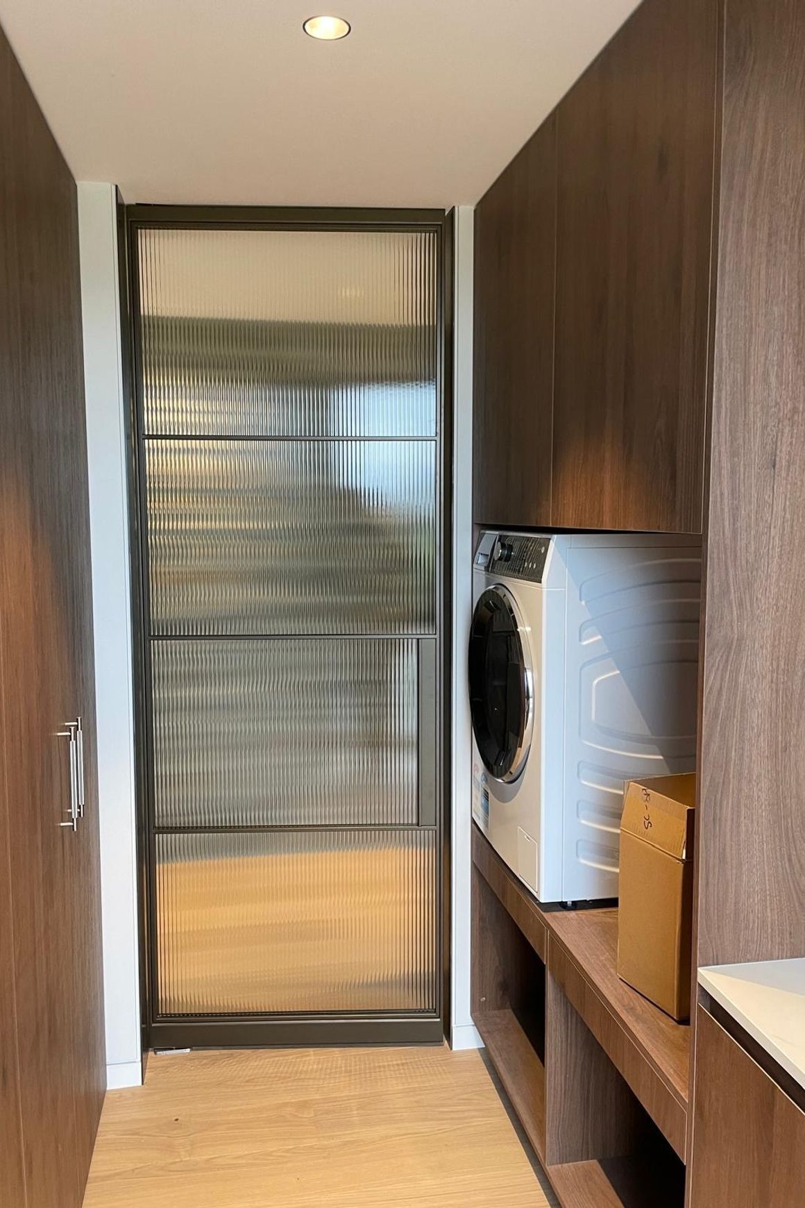 Pivot Steel Doors