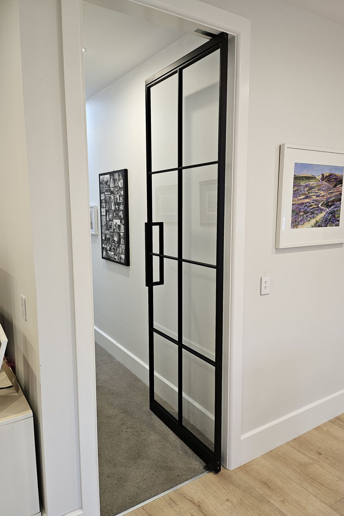 Pivot Steel Doors
